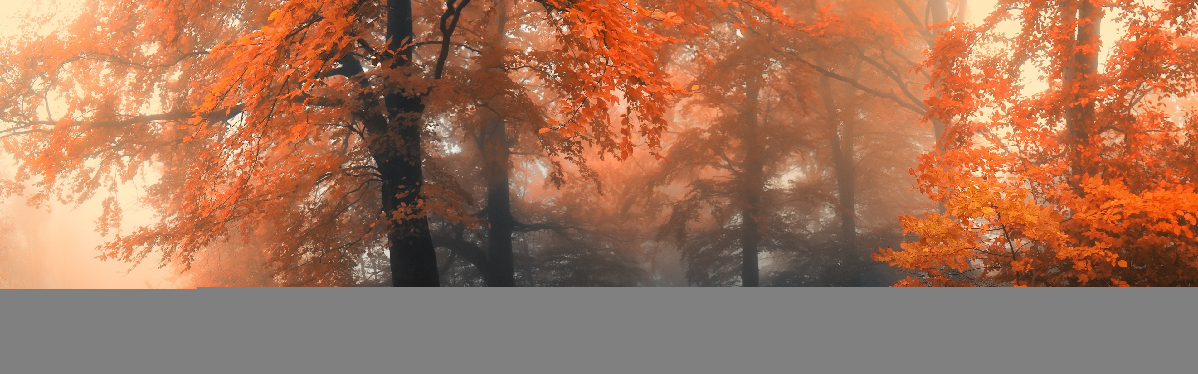 3840x1200 1545 1: Autumn iPhone Panoramic wallpaper