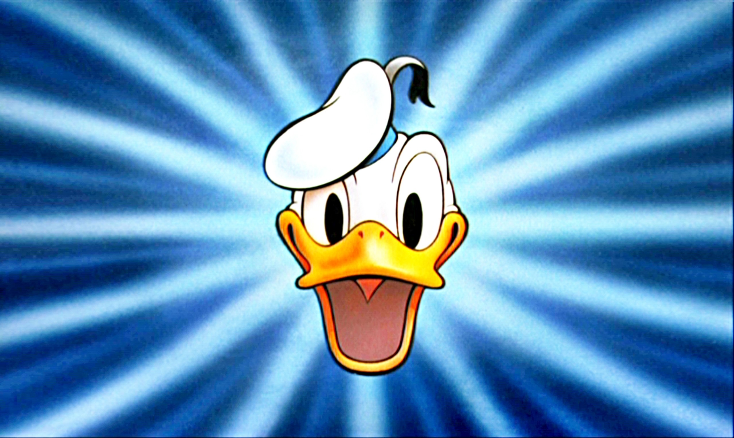 2560x1526 Face Donald Duck Wallpaper Kids