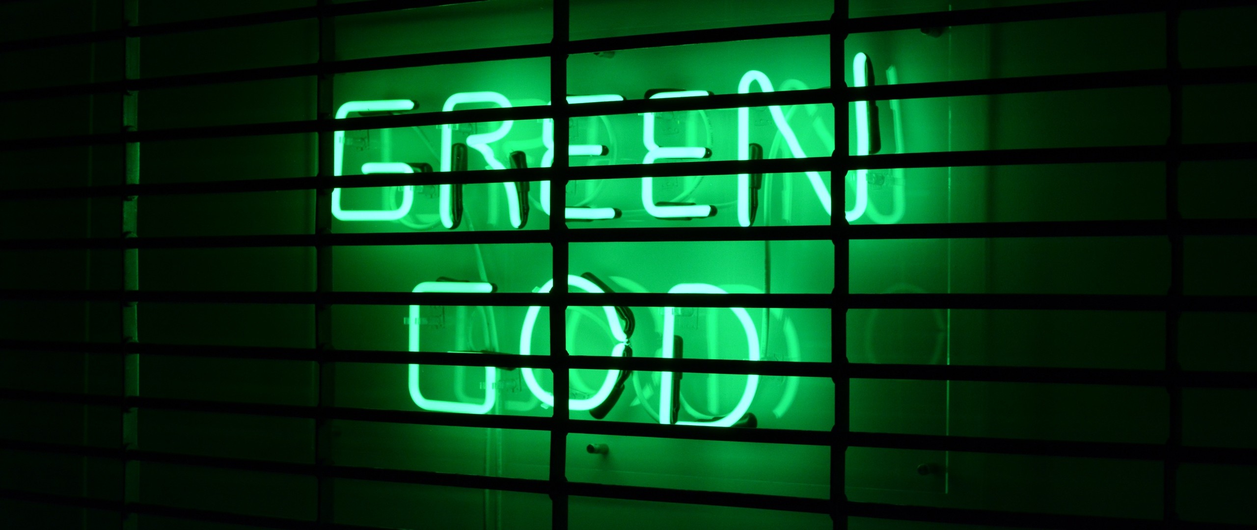 2560x1080  Wallpaper inscription, neon, green, lattice, wall