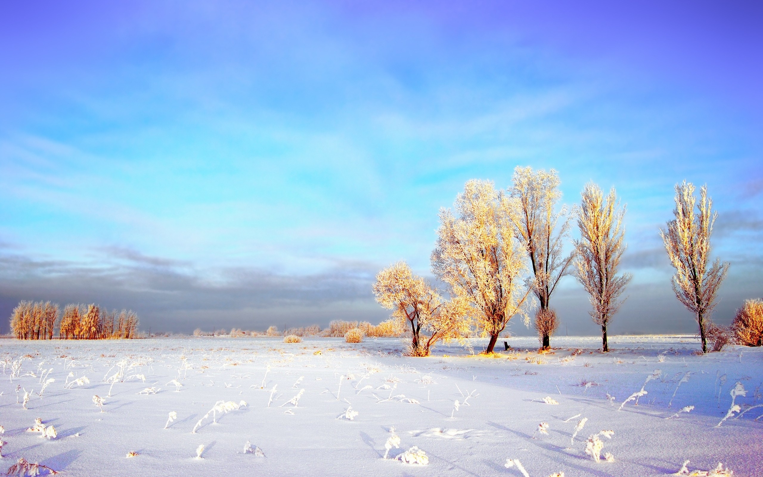 2560x1600 Snowy Winter Landscape wallpapers and stock photos
