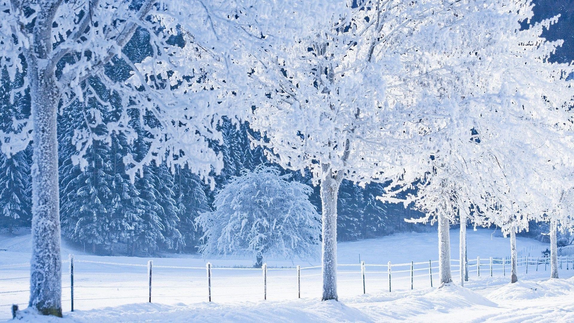 1920x1080 Real Snowy Backgrounds, wallpaper, Real Snowy Backgrounds hd .
