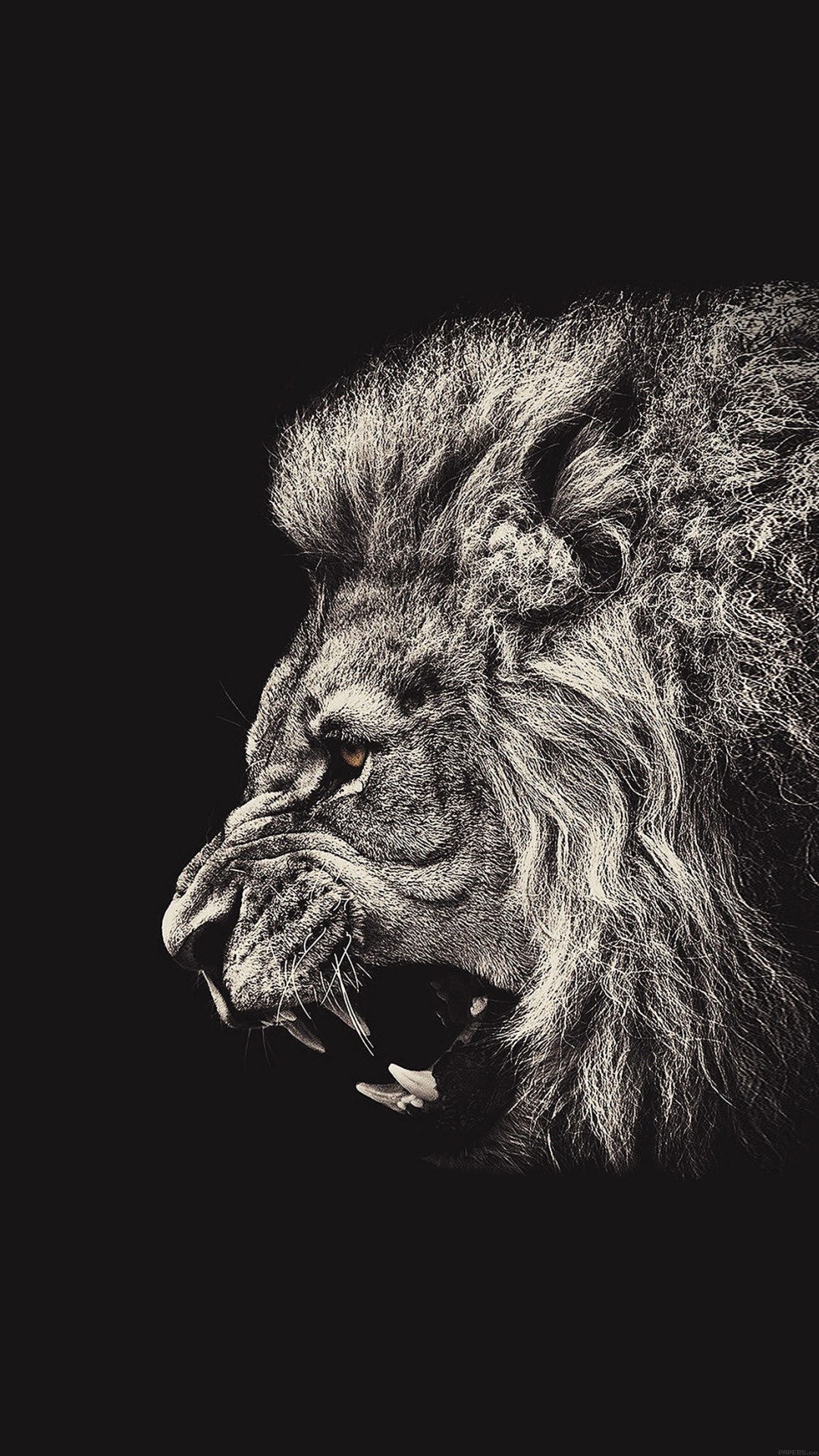 1080x1920 Male Lion Portrait iPhone 6 Plus HD Wallpaper