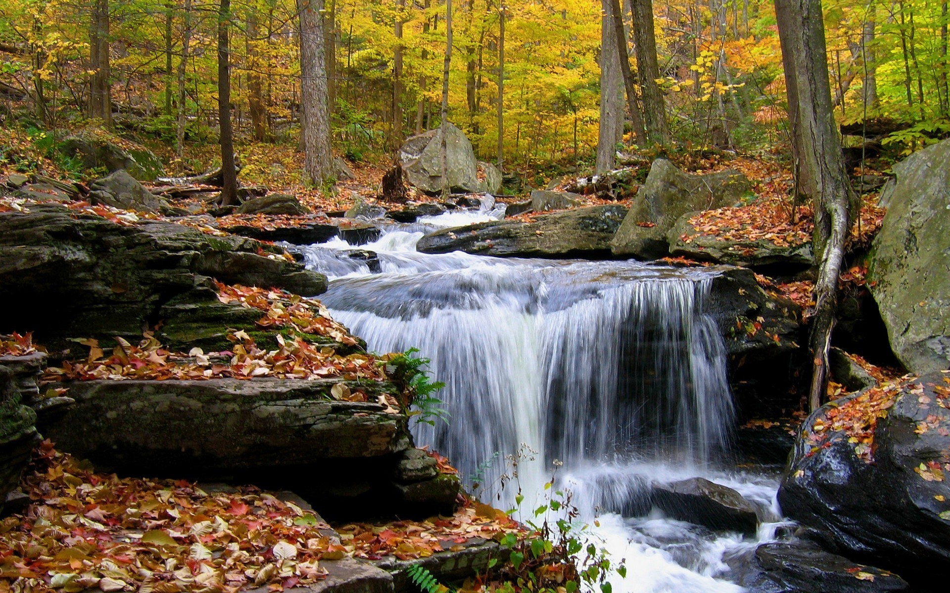 1920x1200 Thanks for downloading Waterfall in the autumn morning wallpaper 