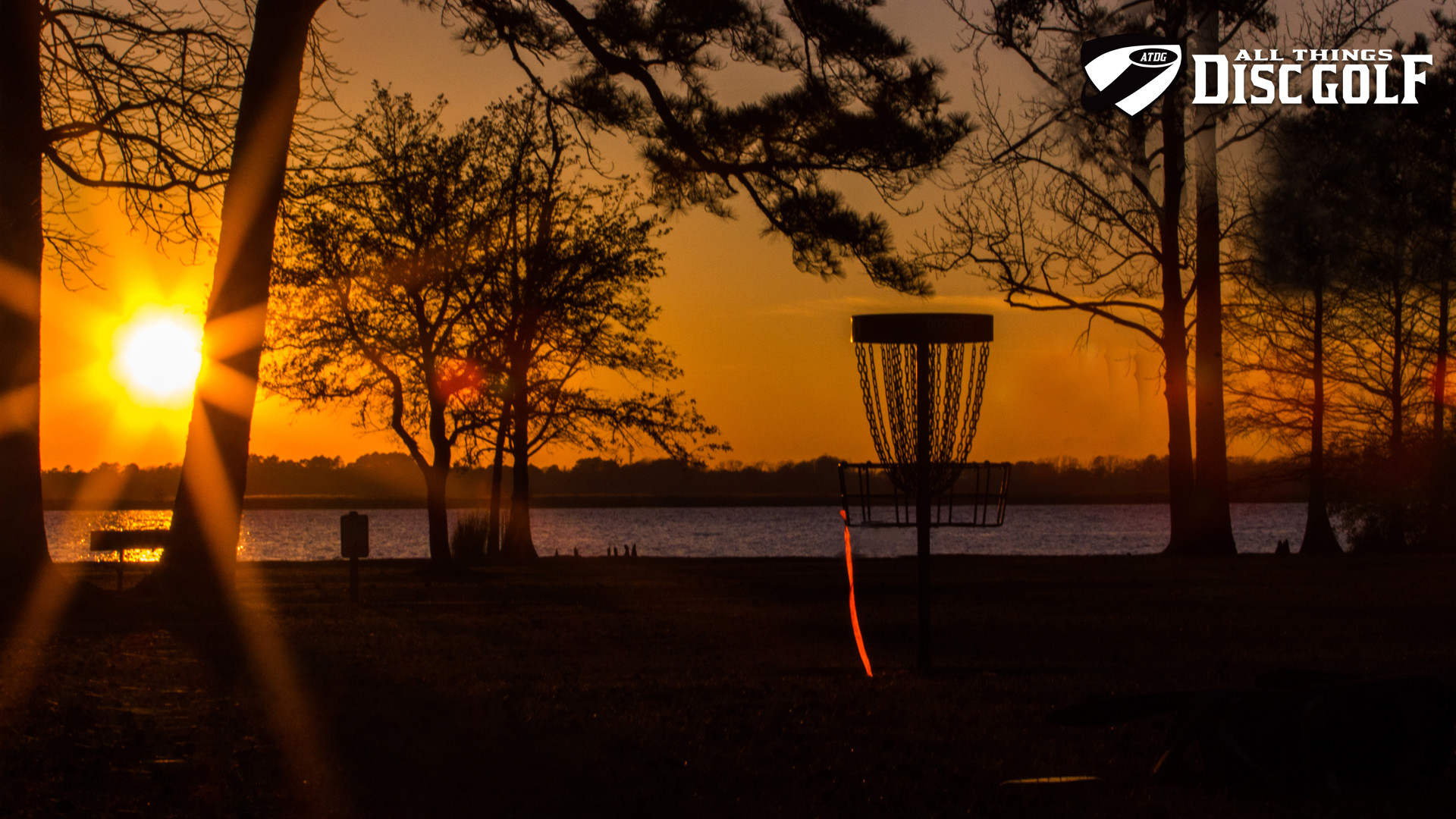 1920x1080 Disc Golf. Backgrounds of Disc Golf in High Definition.  1.512 MB