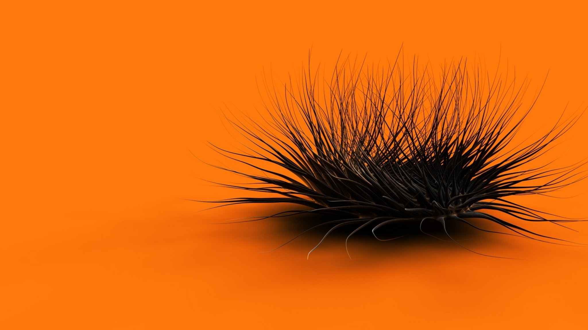 2048x1152 Preview wallpaper orange, black, feathers, form 