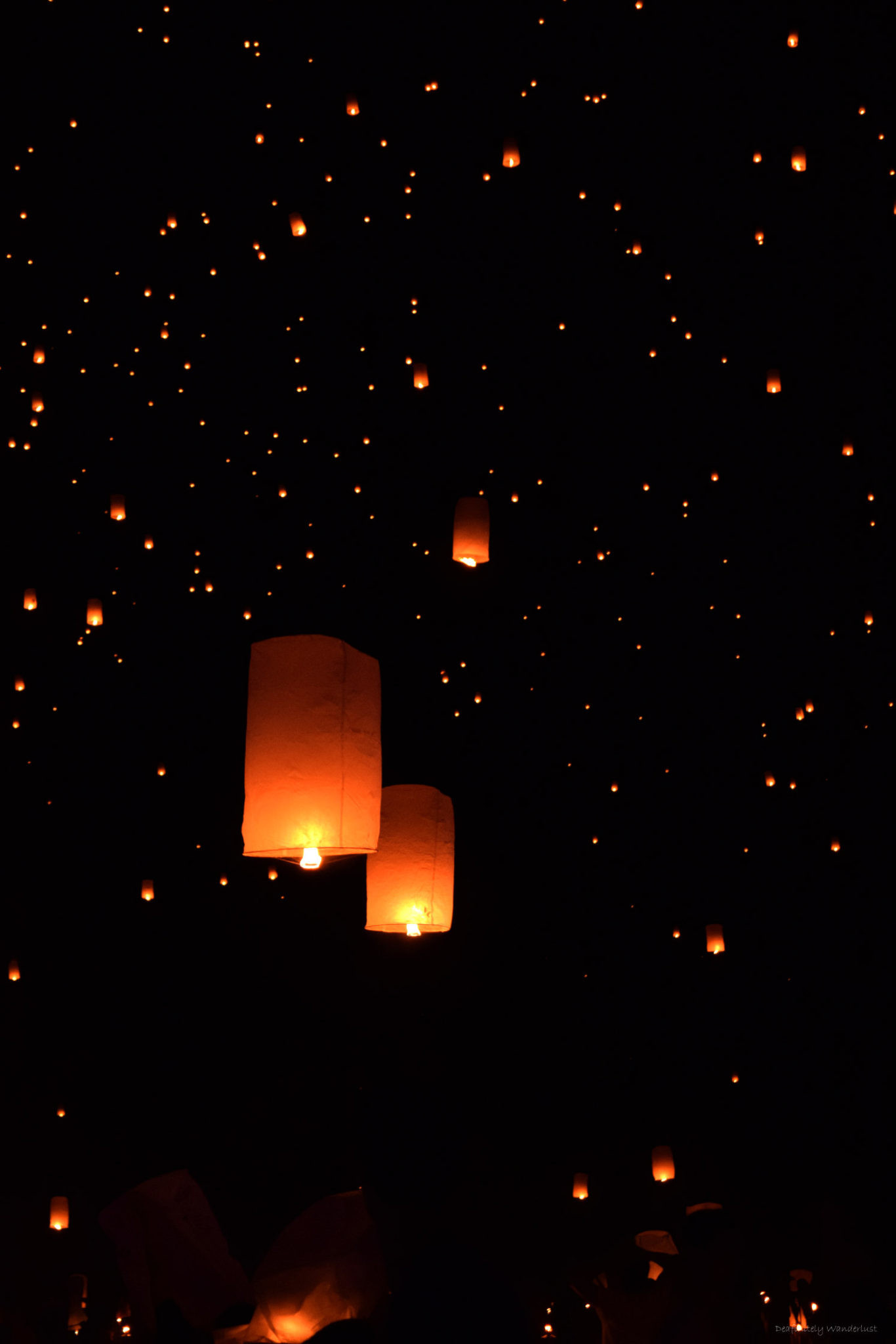 1366x2048 What you need to know before visiting RiSE Lantern Festival -