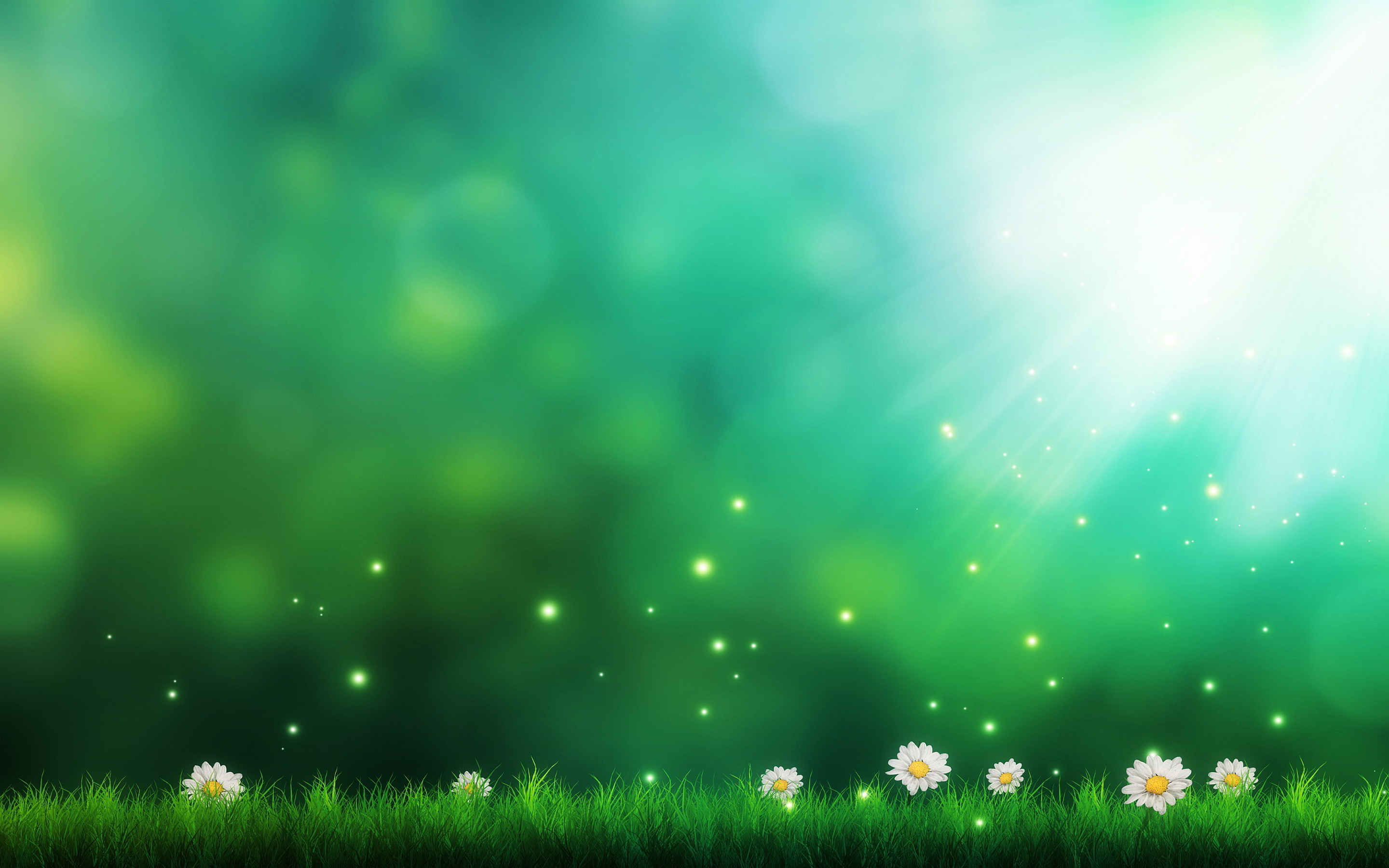 2880x1800 Daisies Green Background Wallpapers Pictures px