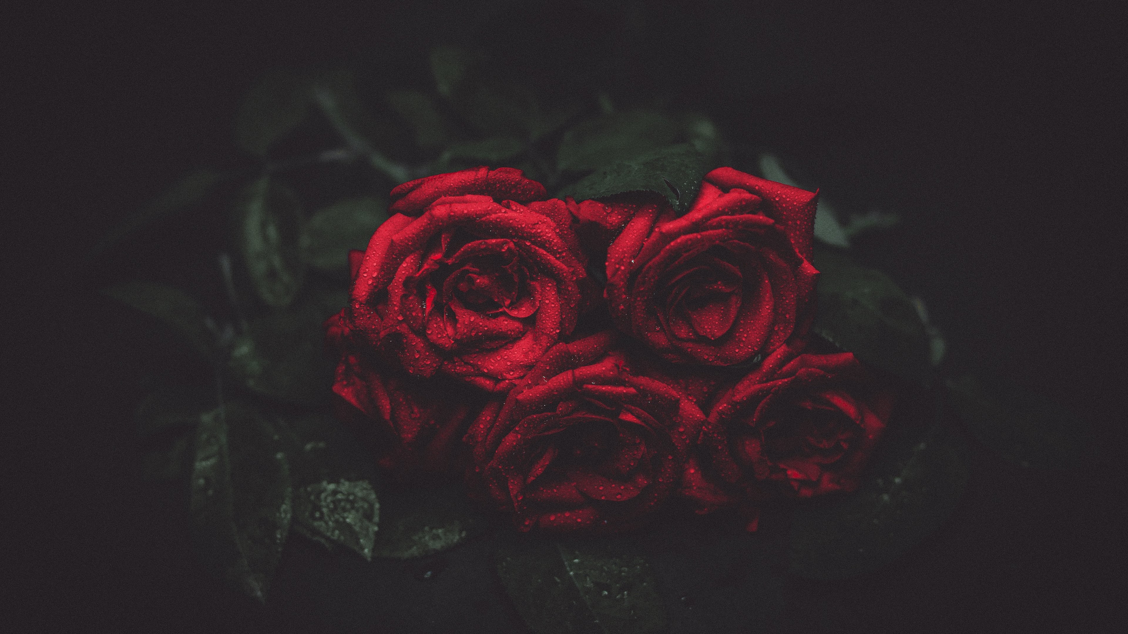 3840x2160 Love Symbol Red Roses - Image #10 - <script async src="/