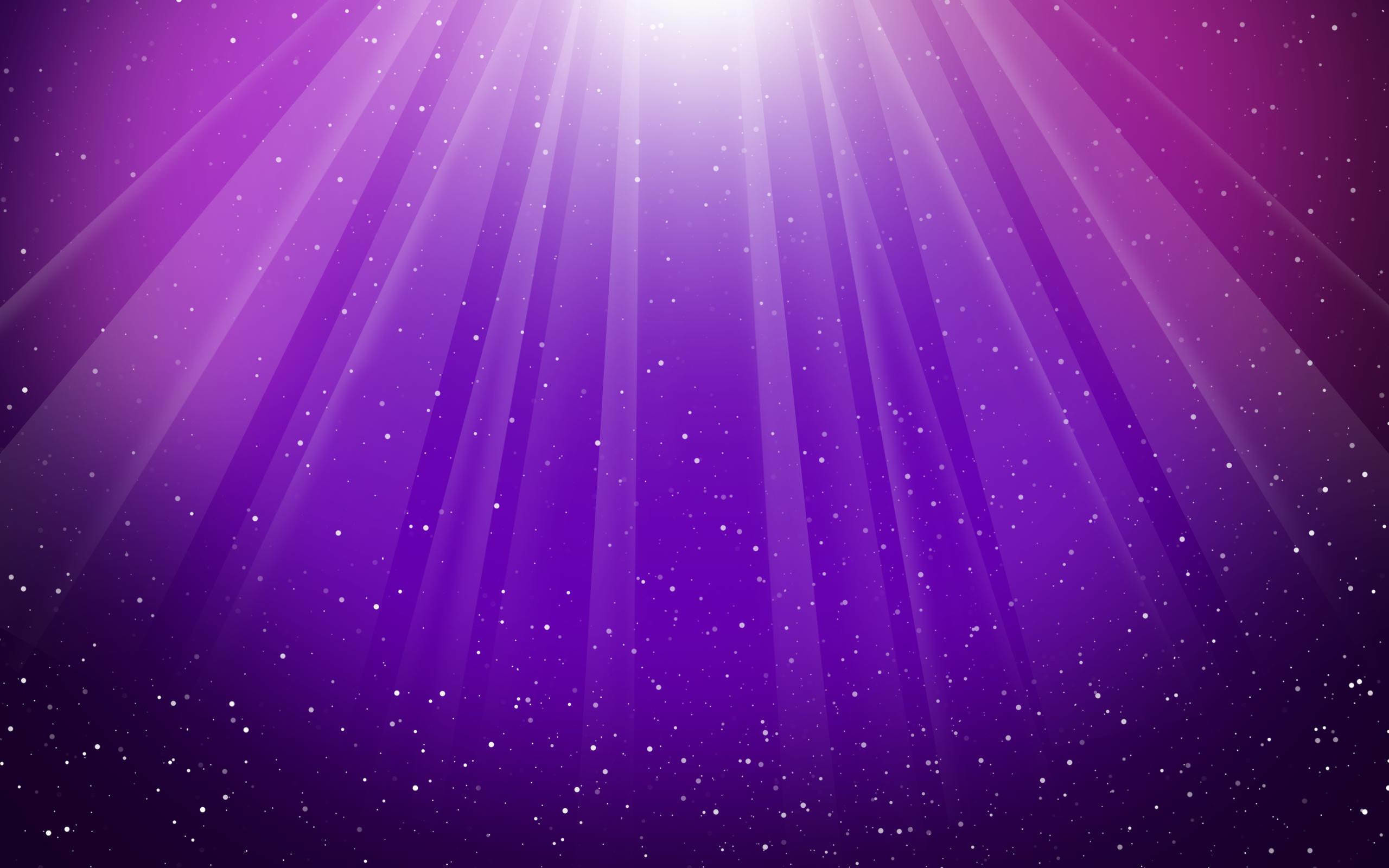 2560x1600 Solid Color Purple Background