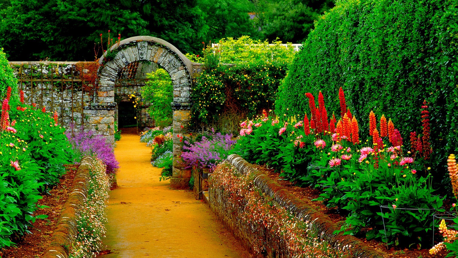 1920x1080 Download Country Garden wallpaper in Nature wallpapers with all .