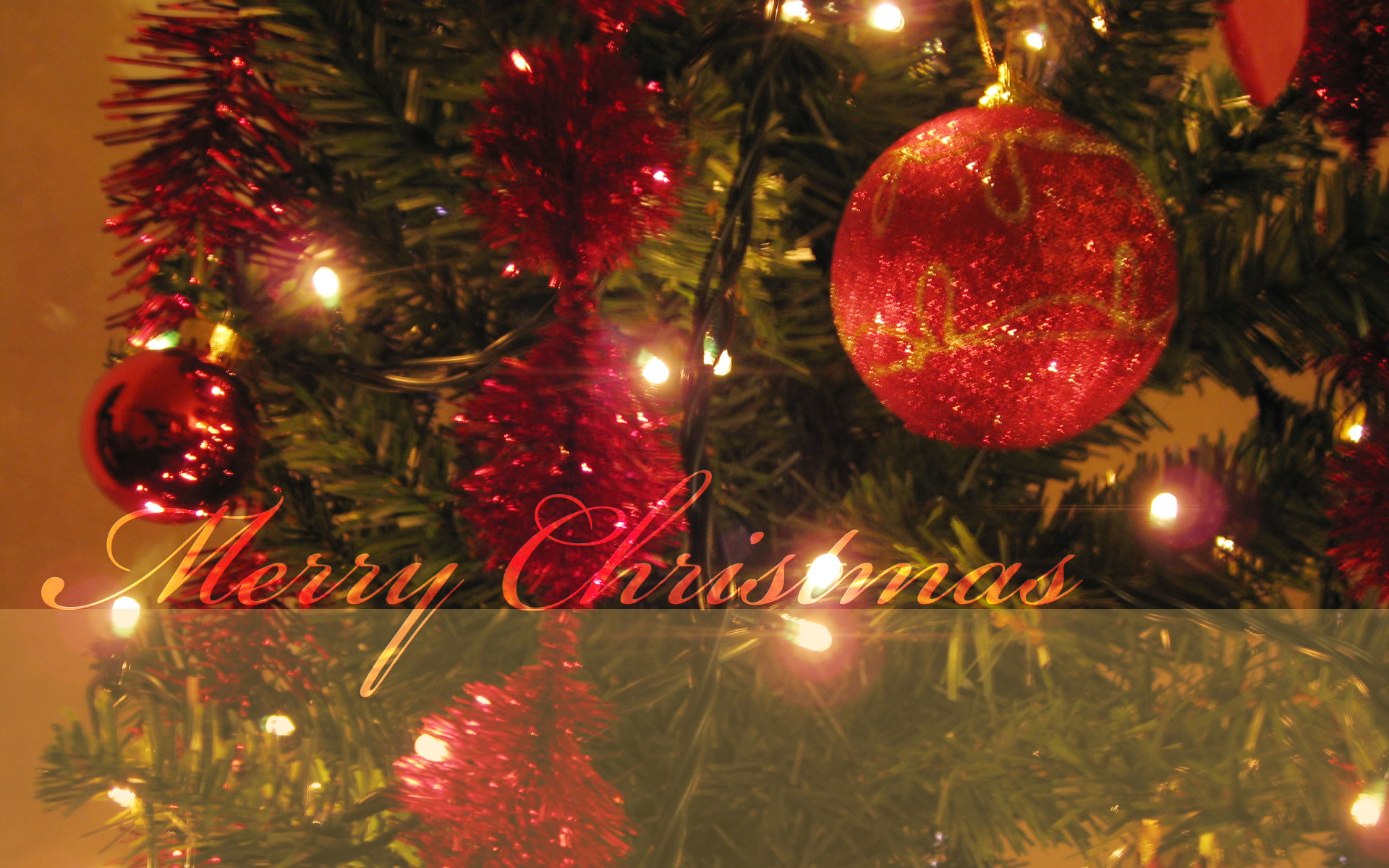 1920x1200 Merry Christmas Tree HD wallpaper