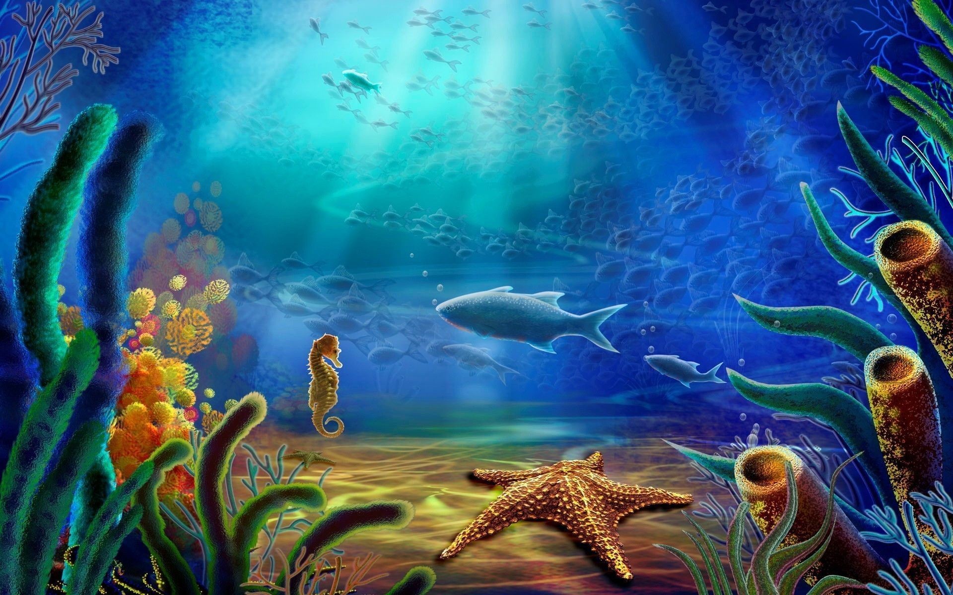 1920x1200 Ocean Life Wallpapers 1920Ã1200 Ocean Life Backgrounds (52 Wallpapers) |  Adorable Wallpapers
