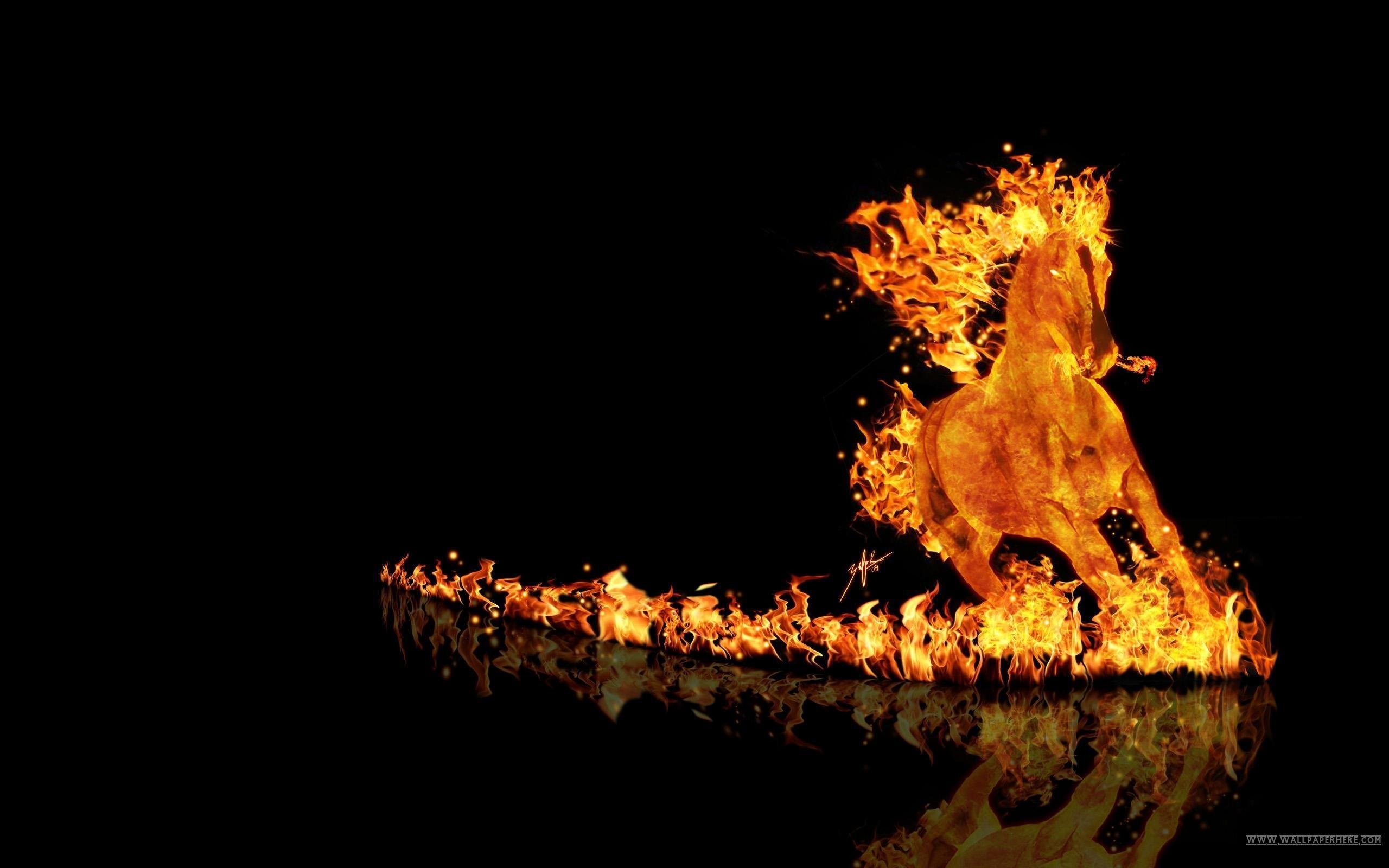 2560x1600 Cool Fire Wallpapers Photo