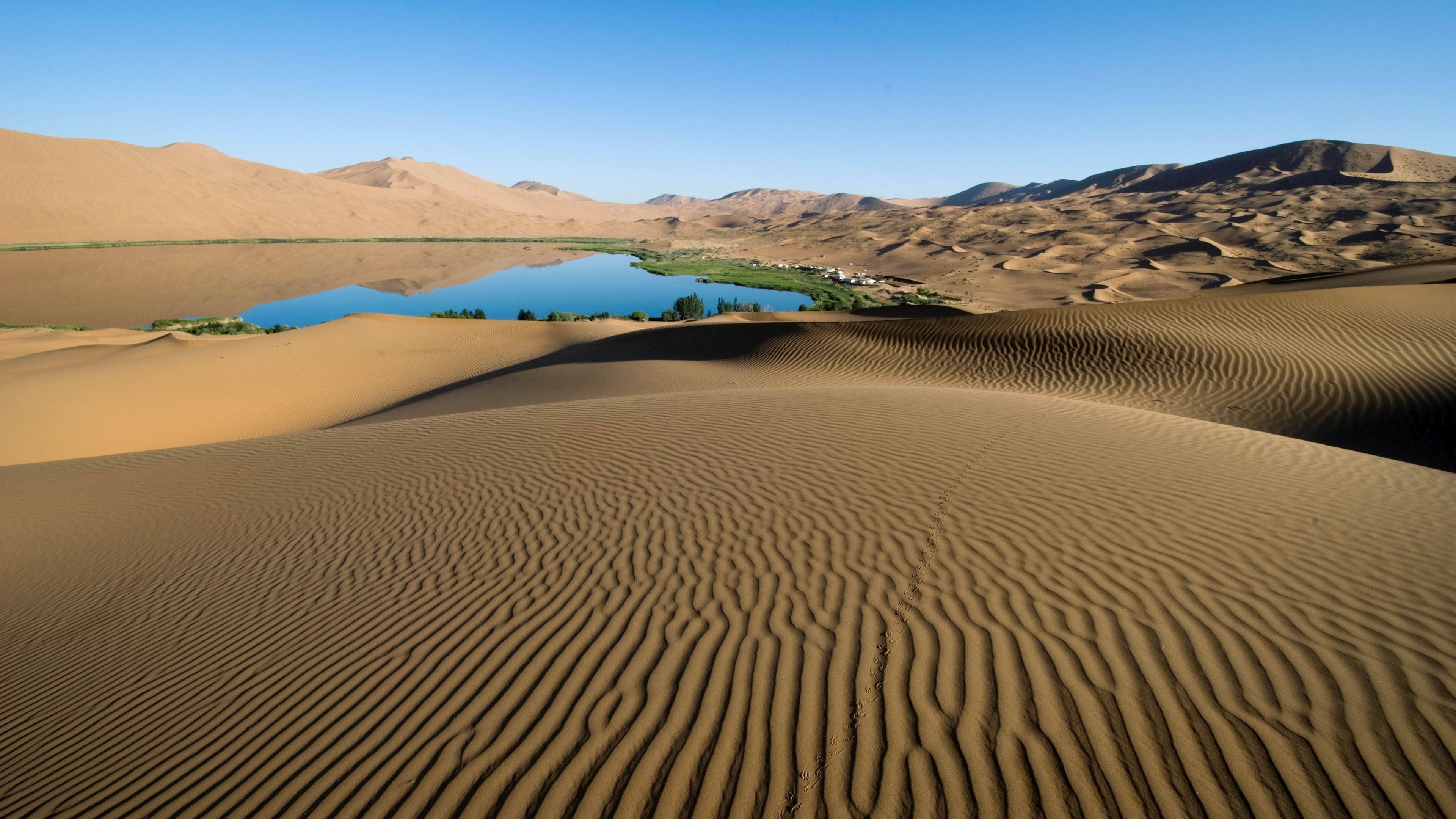 3840x2160 Desert Oasis Landscape Widescreen Wallpaper 50089