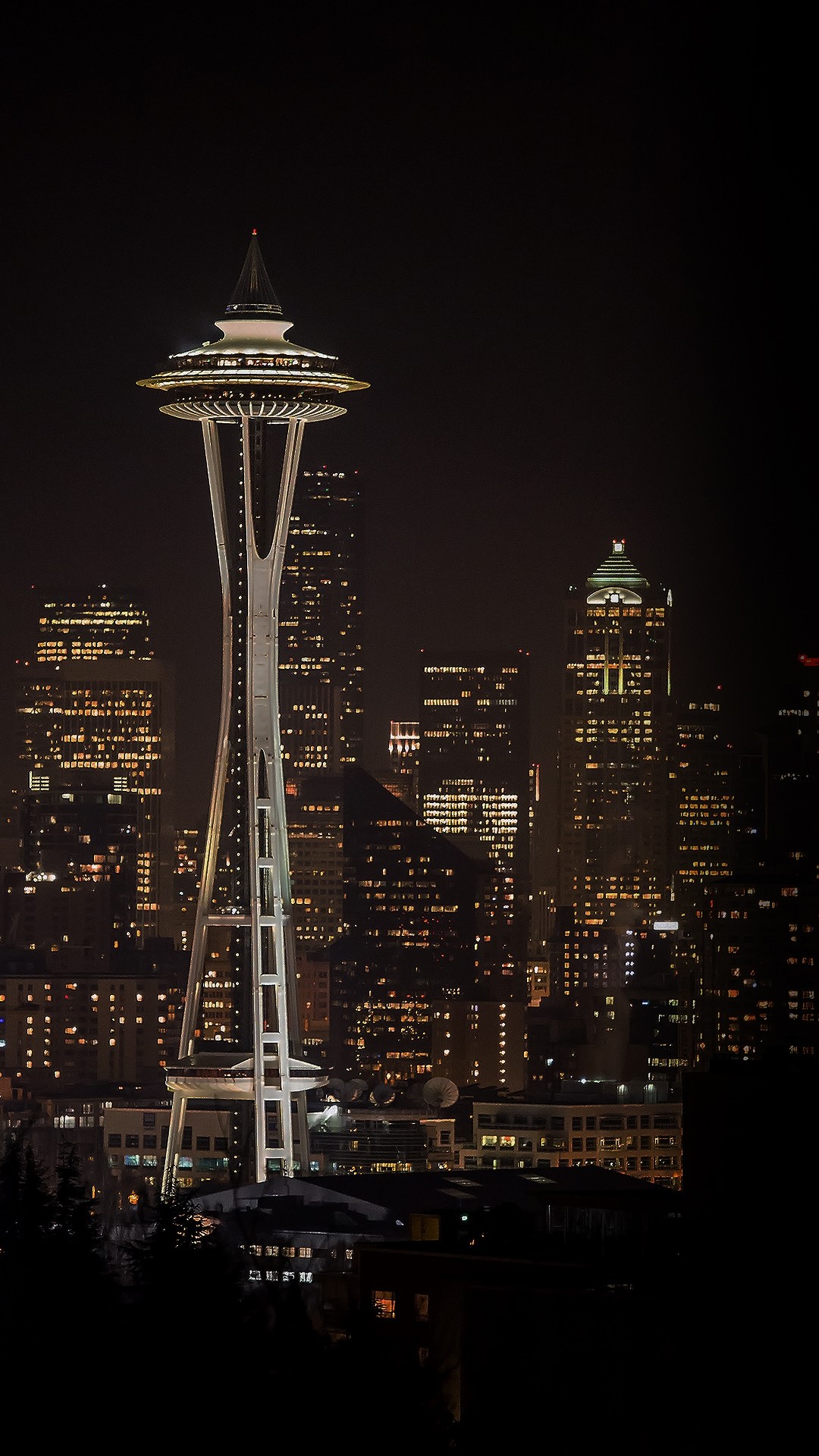 1080x1920 Click here to download  pixel Seattle Space Needle Night City  Skyline Galaxy Note HD Wallpaper