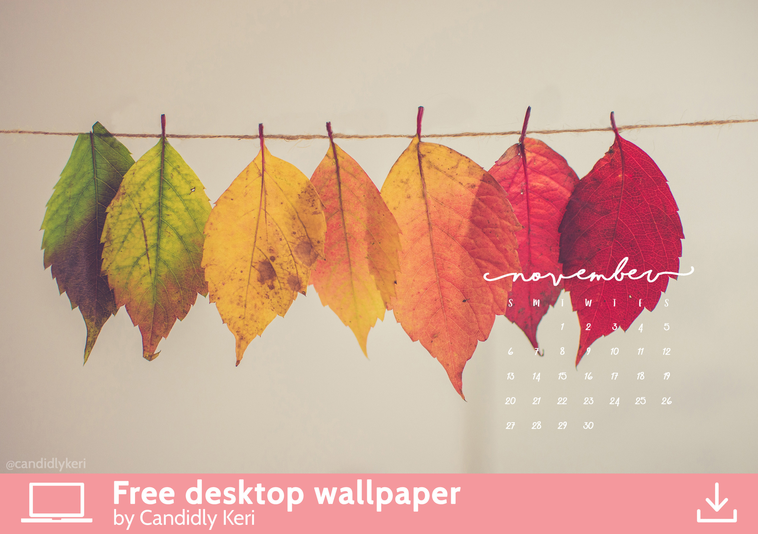 2880x2030 Pretty Leaf photography colorful leaves yellow orange red November calendar  2016 wallpaper you can download for