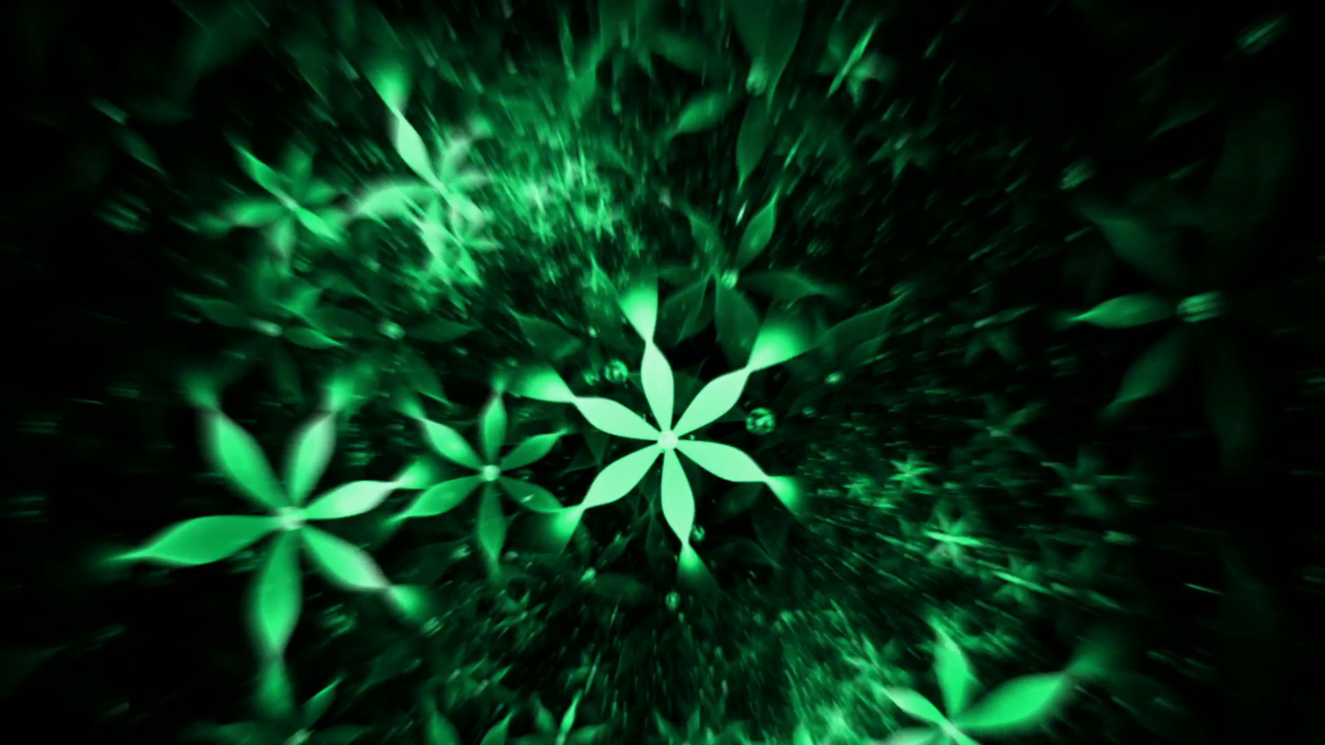 1920x1080 Whirlpool Of Green Flowers, Floral Background - floral background, green  flowers in circular motion on black, abstract illustration, animation,  30fps, ...