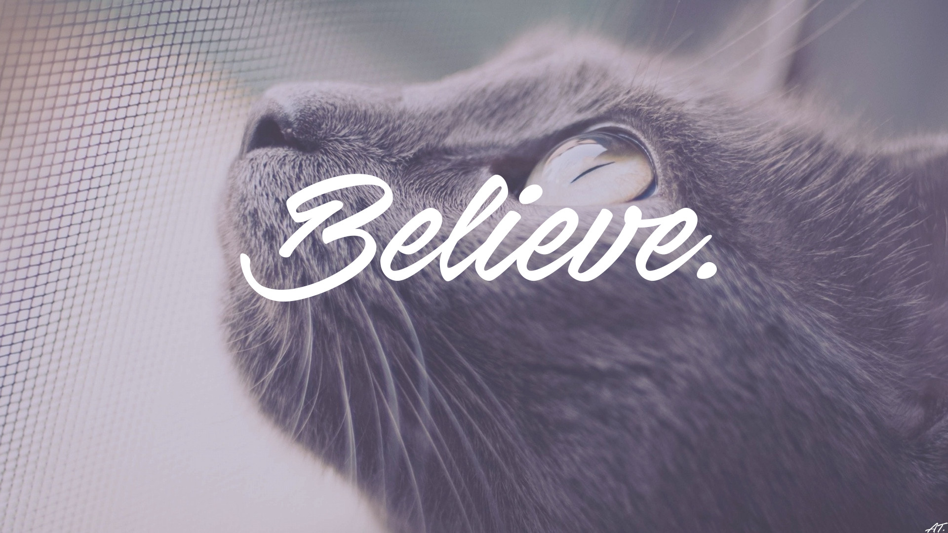 1920x1080 ... cat animals i want to believe dark writing wallpapers hd ...