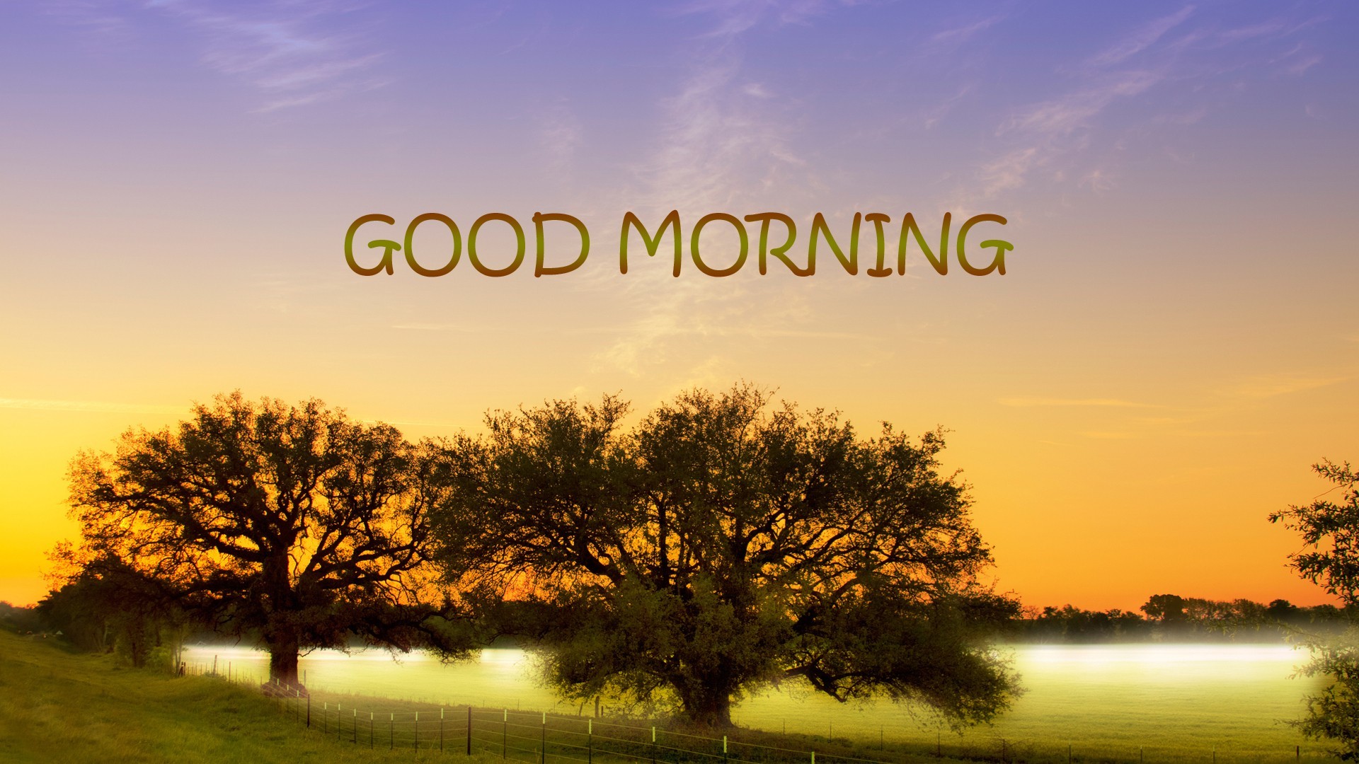 1920x1080 Good Morning HD Wallpaper Pictures Hd Wallpapers 