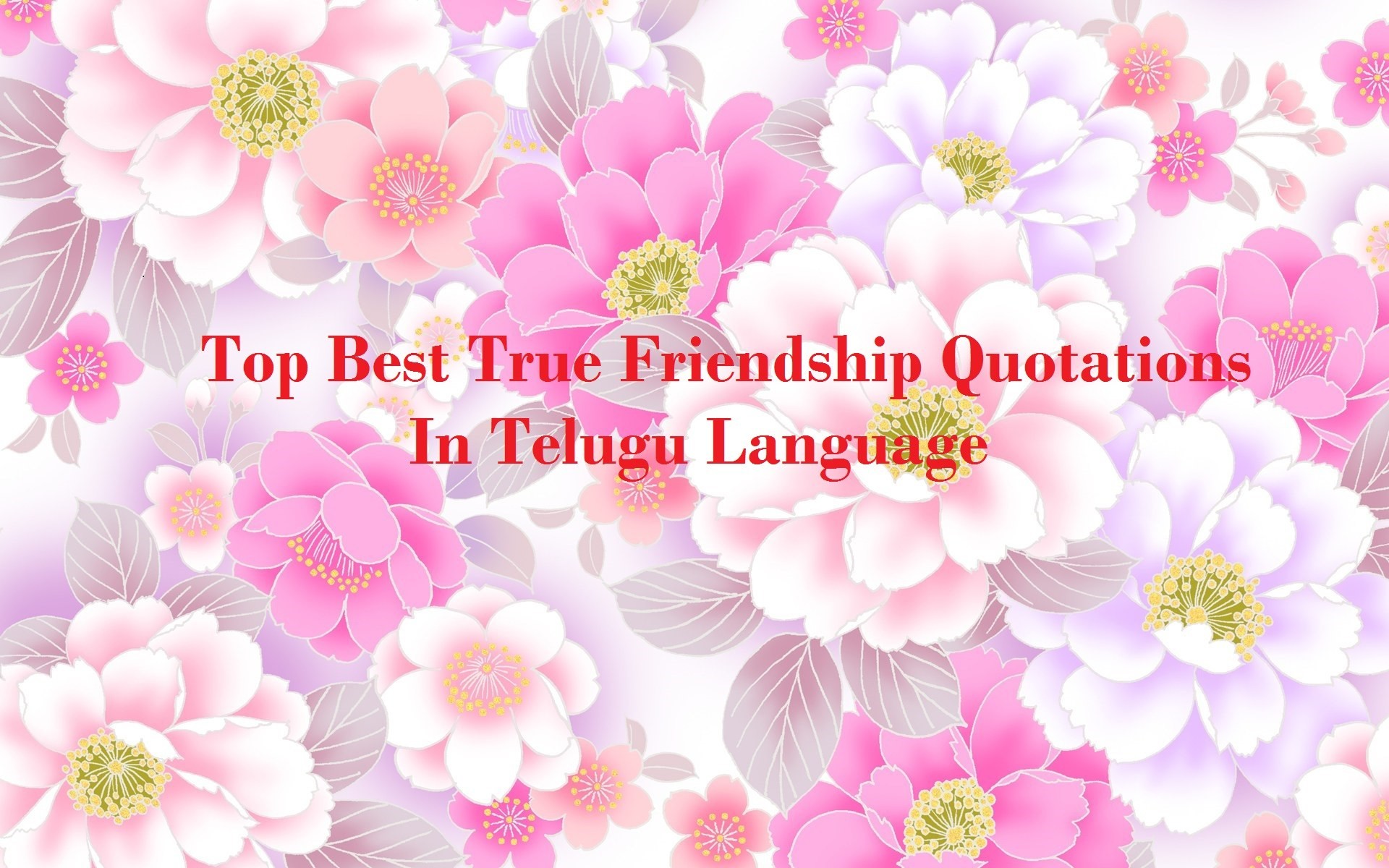 1920x1200 Best True Friendship Quotations In Telugu Language Wallpapers Pictures  Images Latest Collection