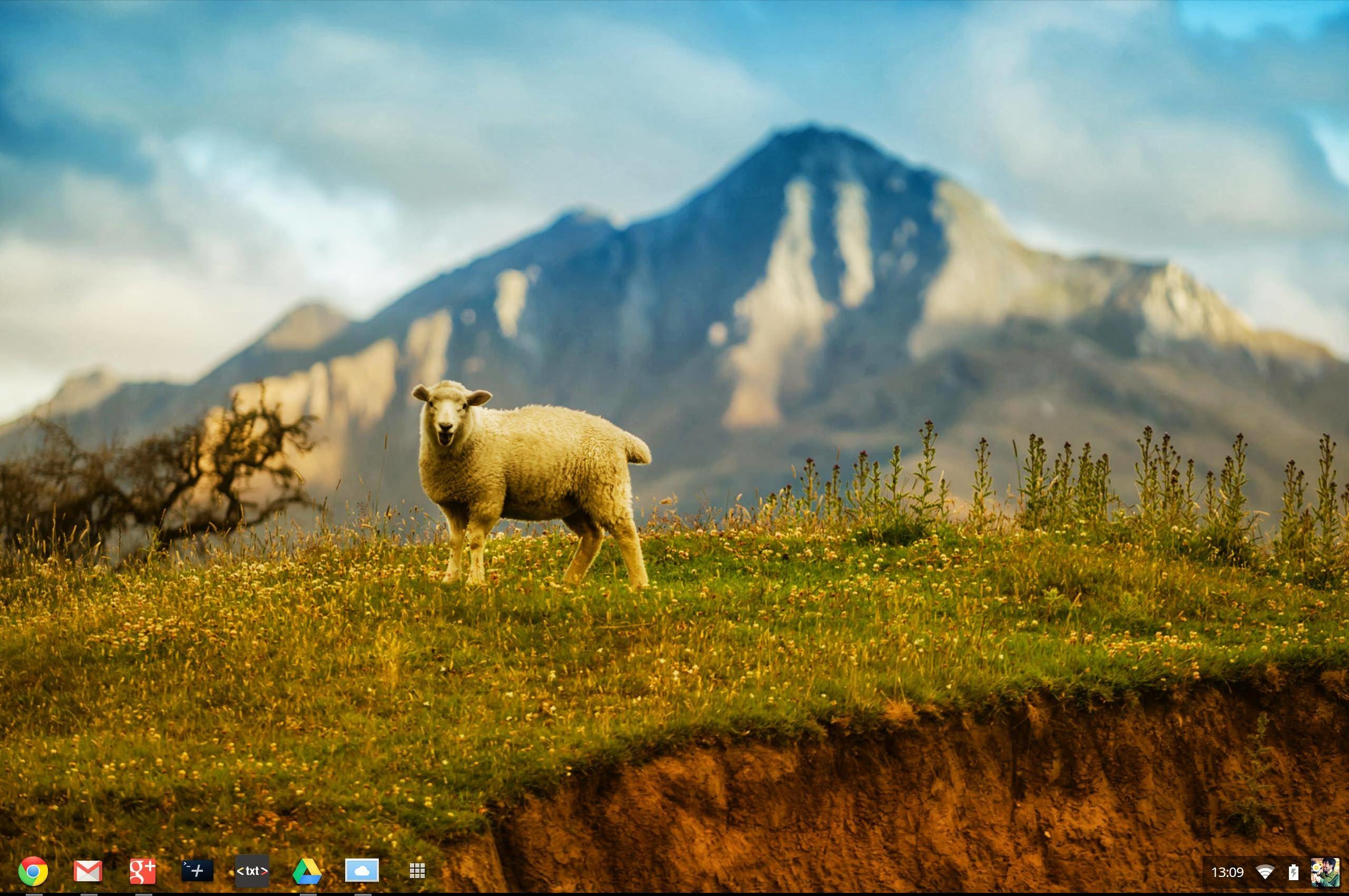 2560x1700 This is the Stunning New Wallpaper for Chrome OS Guest Mode OMG