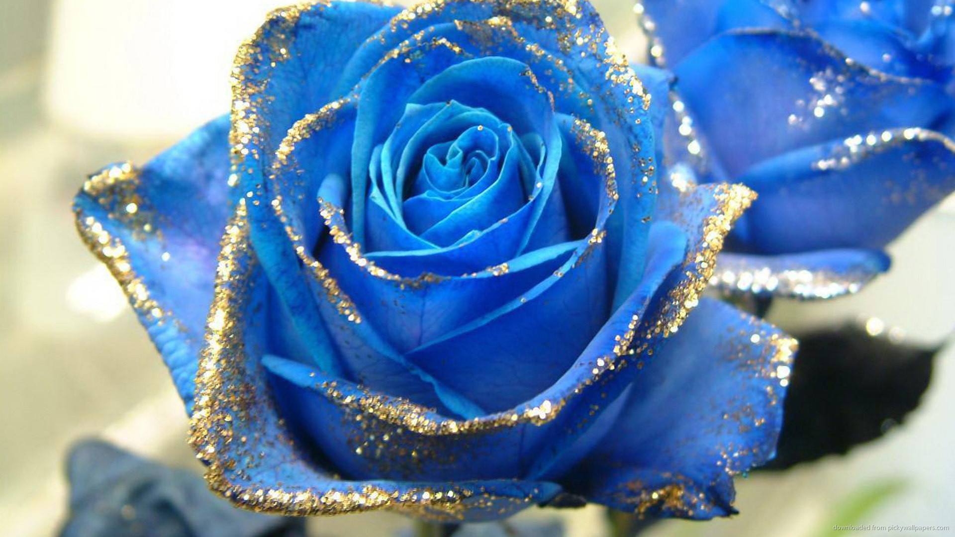 1920x1080 Blue Rose With Gold Glitter Wallpaper picture