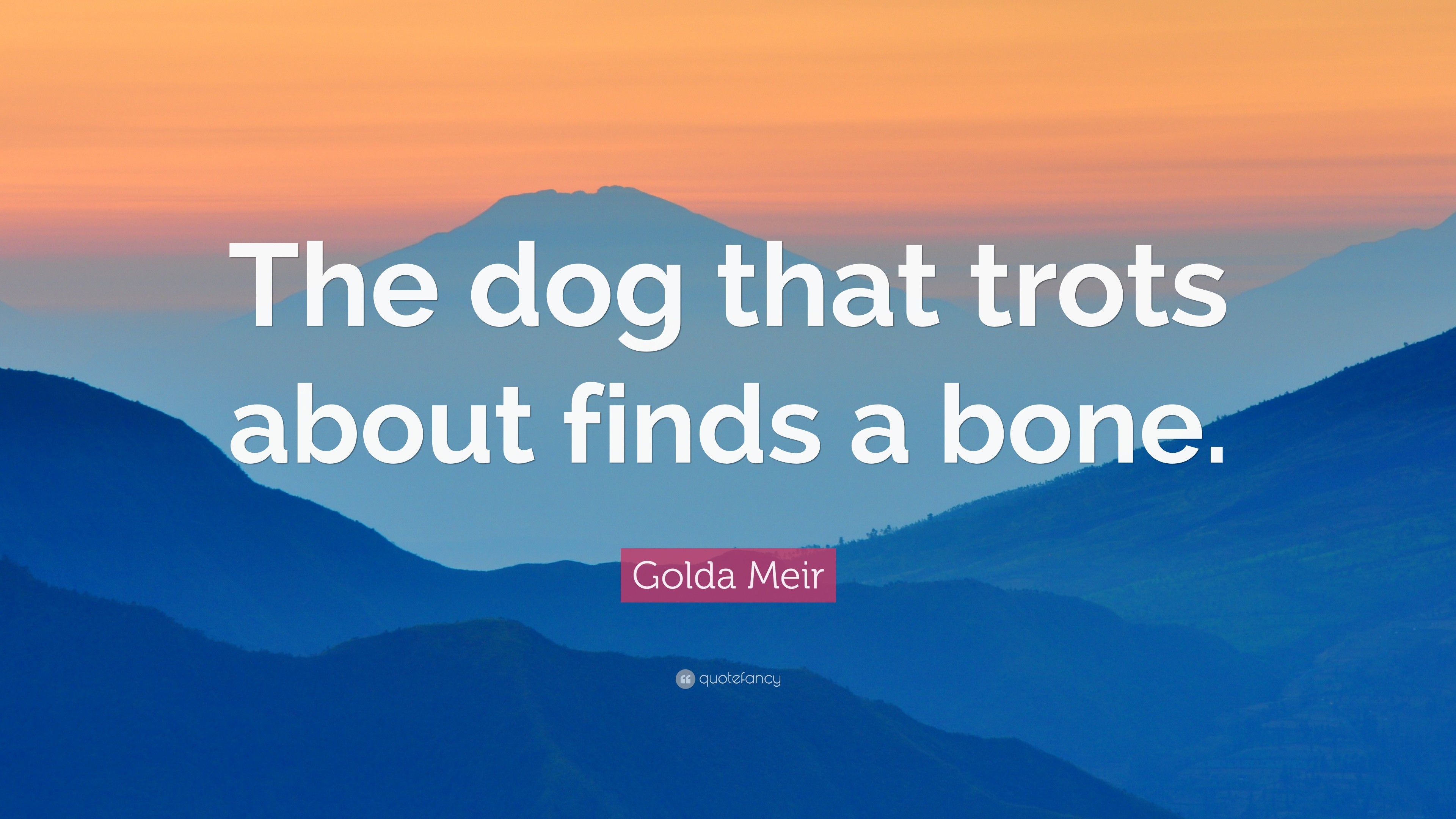 3840x2160 Golda Meir Quote: “The dog that trots about finds a bone.”