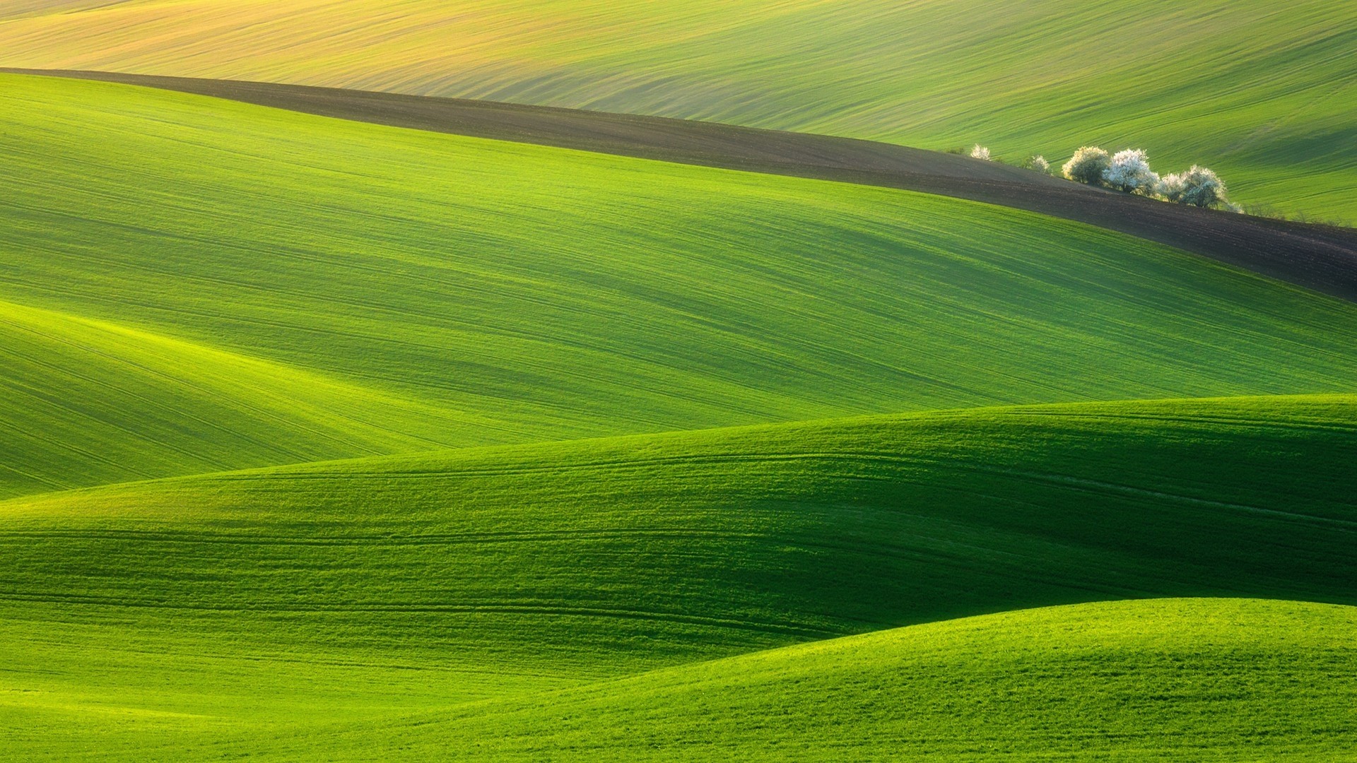 1920x1080  Wallpaper field, grass, sky, green