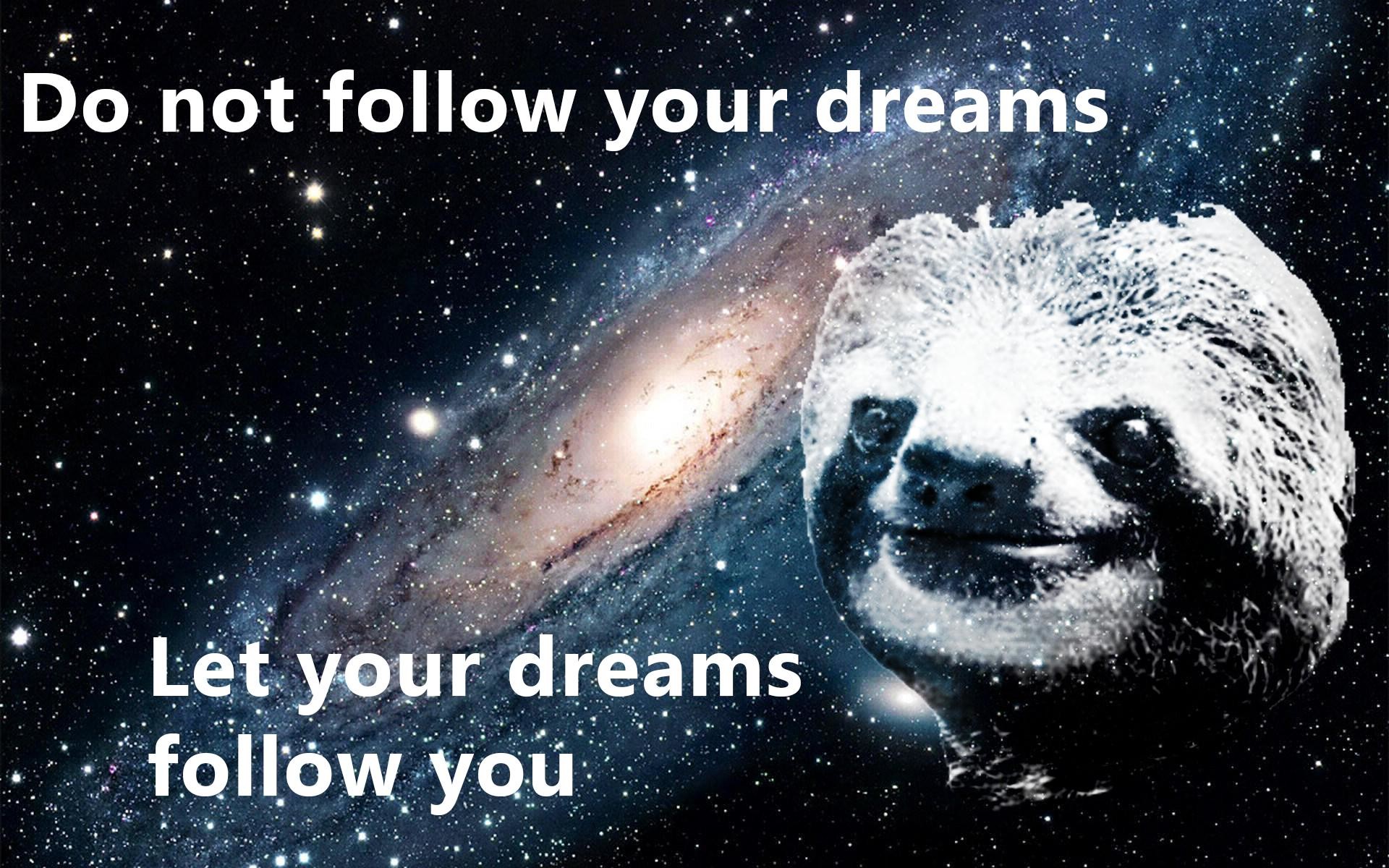 1920x1200 sloth wallpaper 3 | Sloths | Know Your Meme ...