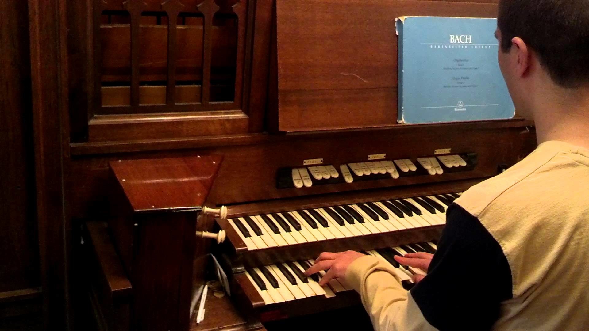 1920x1080 Moeller Pipe Organ for Sale