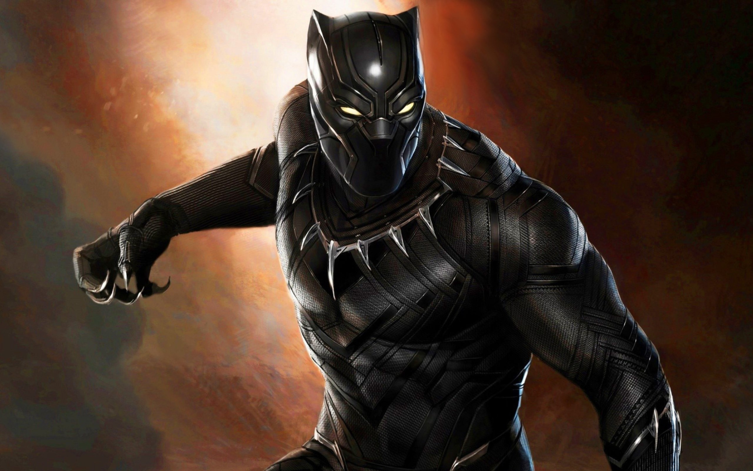 2560x1600 black panther super hero High Definition Wallpapers