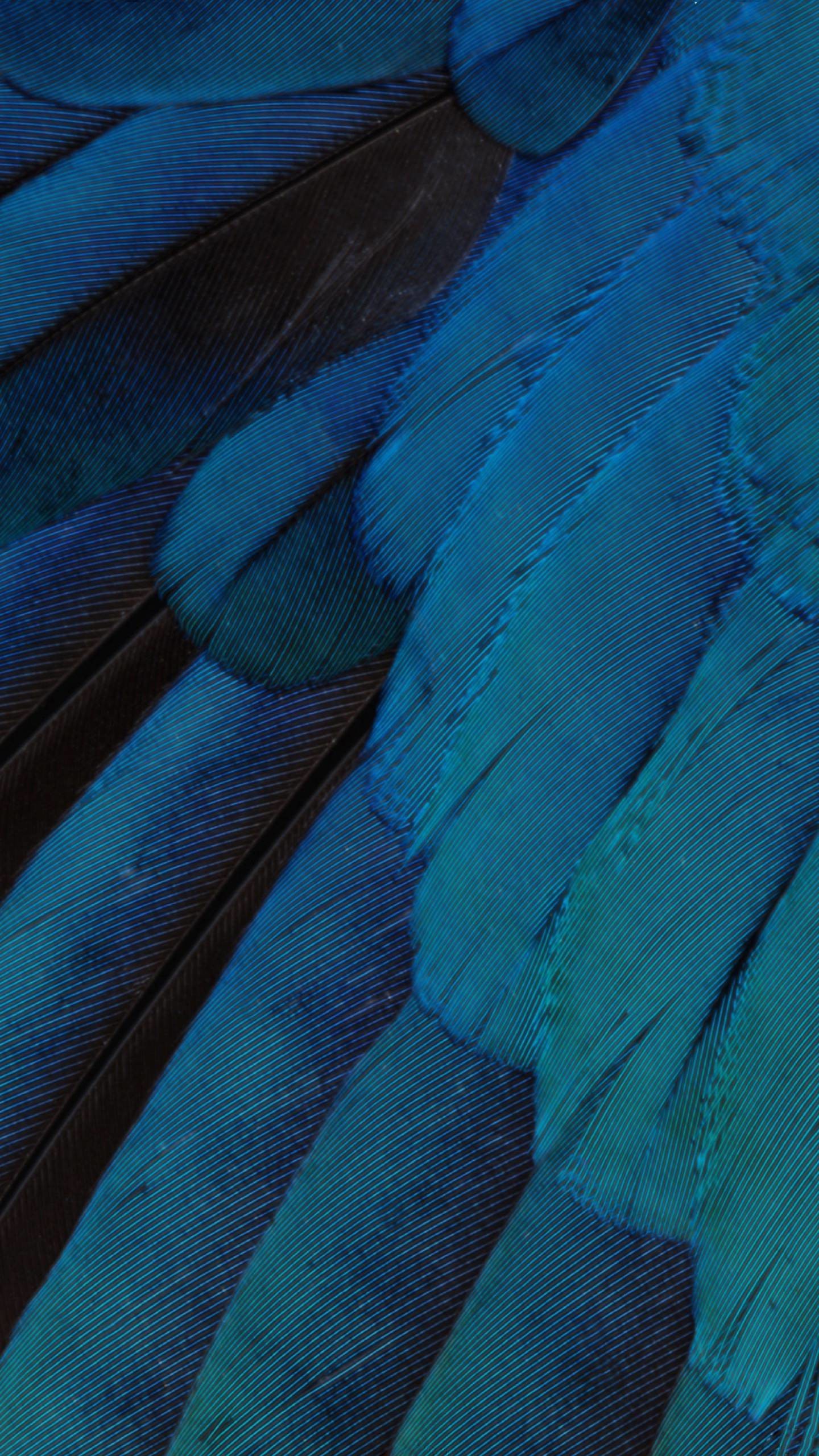 1440x2560 Pattern feathers blue green cool iOS9 Android SmartPhone Wallpaper