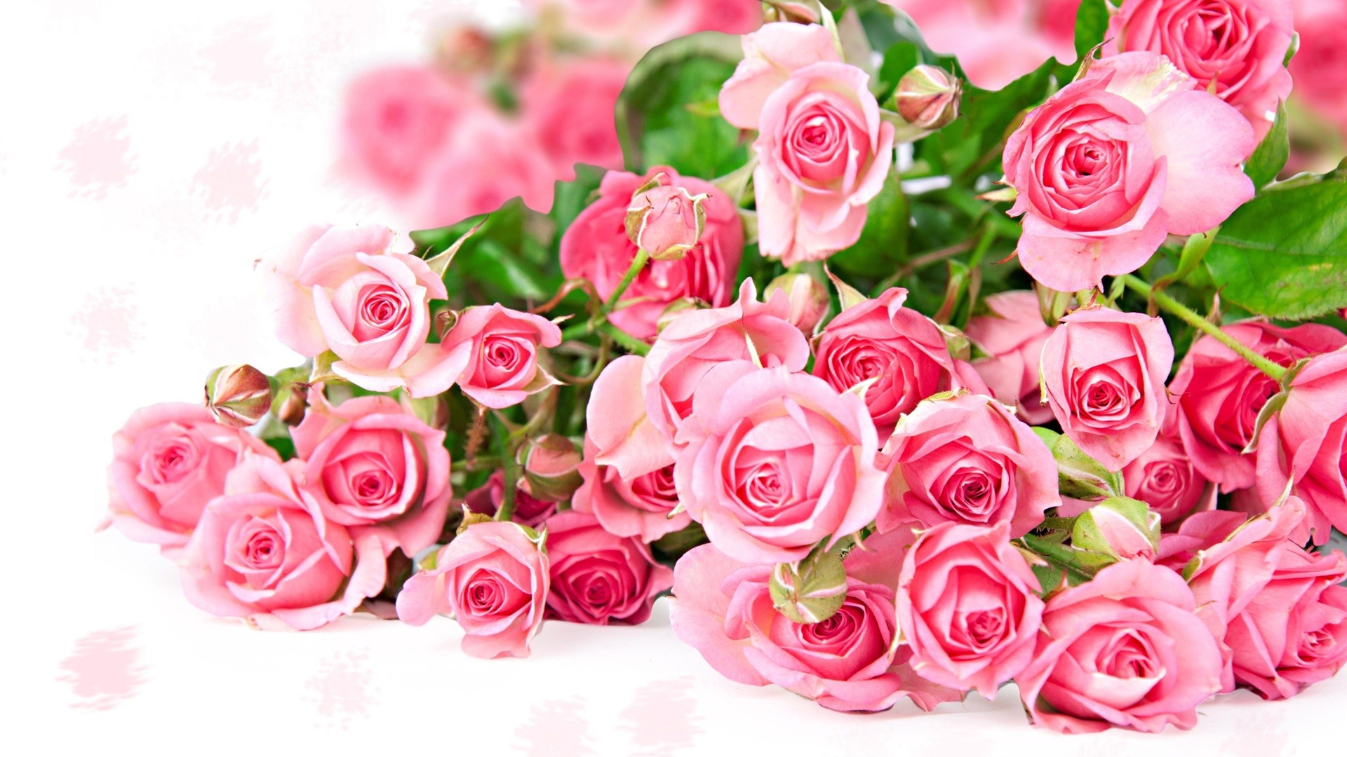 1920x1080 Beautiful Pink Flowers wallpapers (71 Wallpapers)