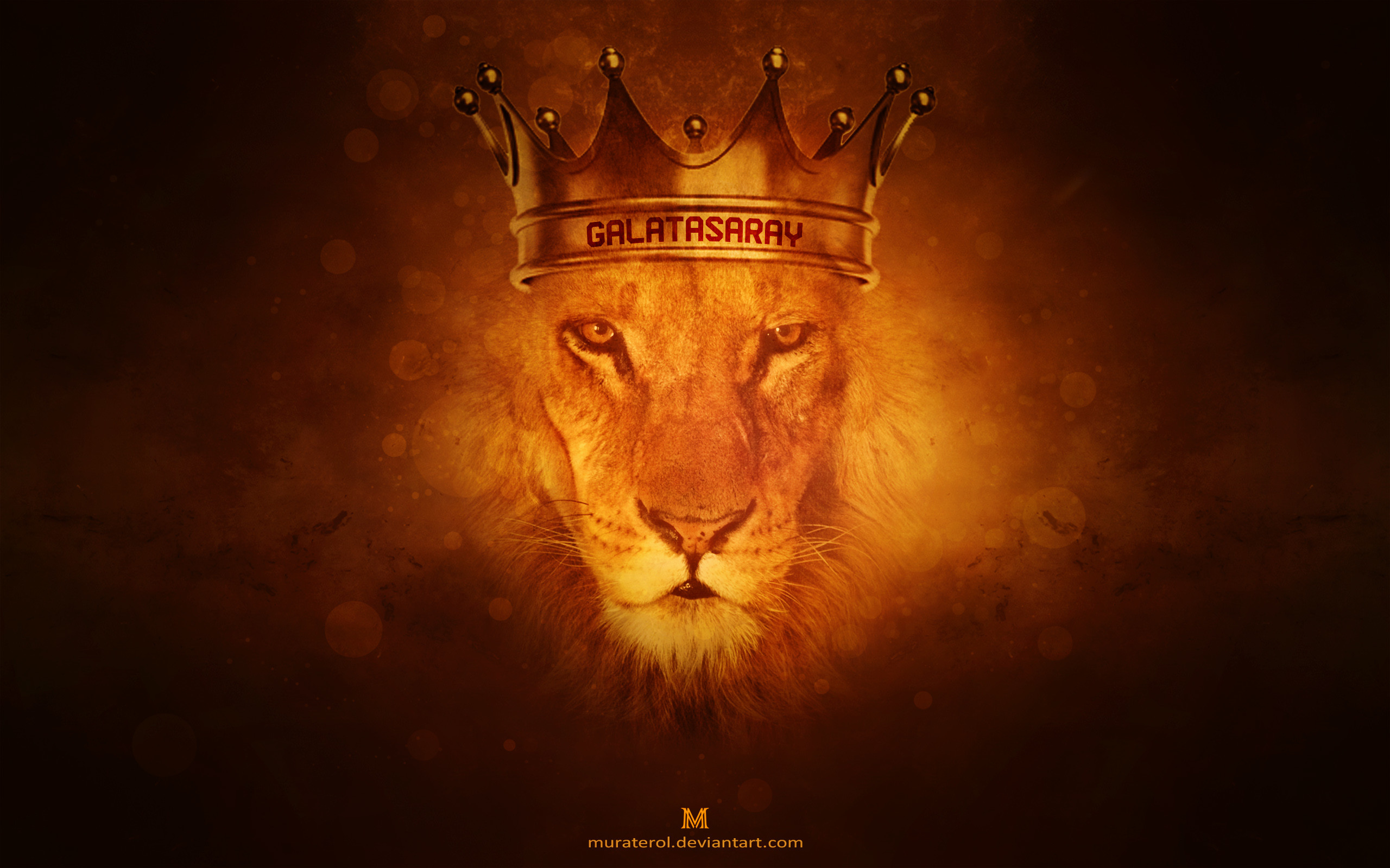 2560x1600 Galatasaray Lion Wallpaper by muraterol Galatasaray Lion Wallpaper by  muraterol