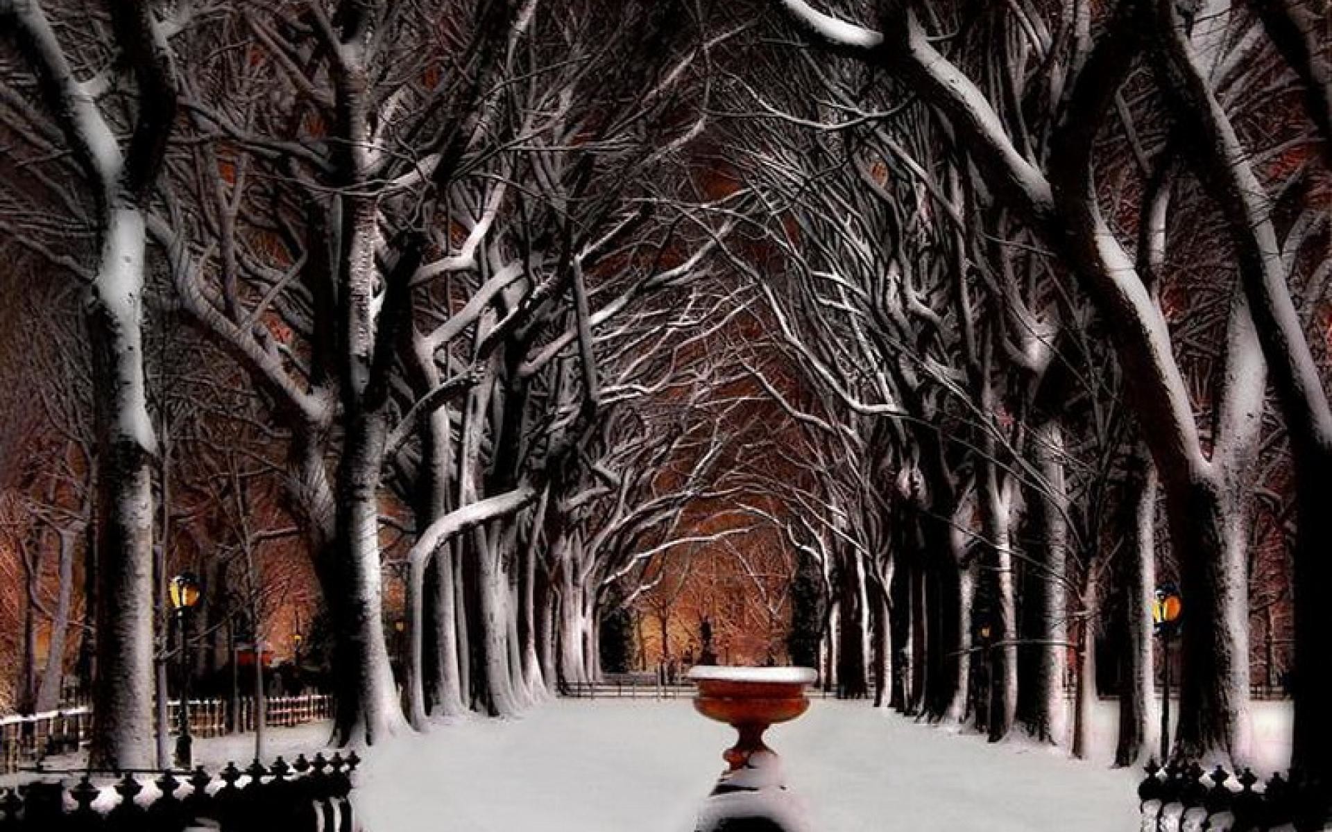 1920x1200 Christmas Snow Central Park, New York City Karl Tepfer