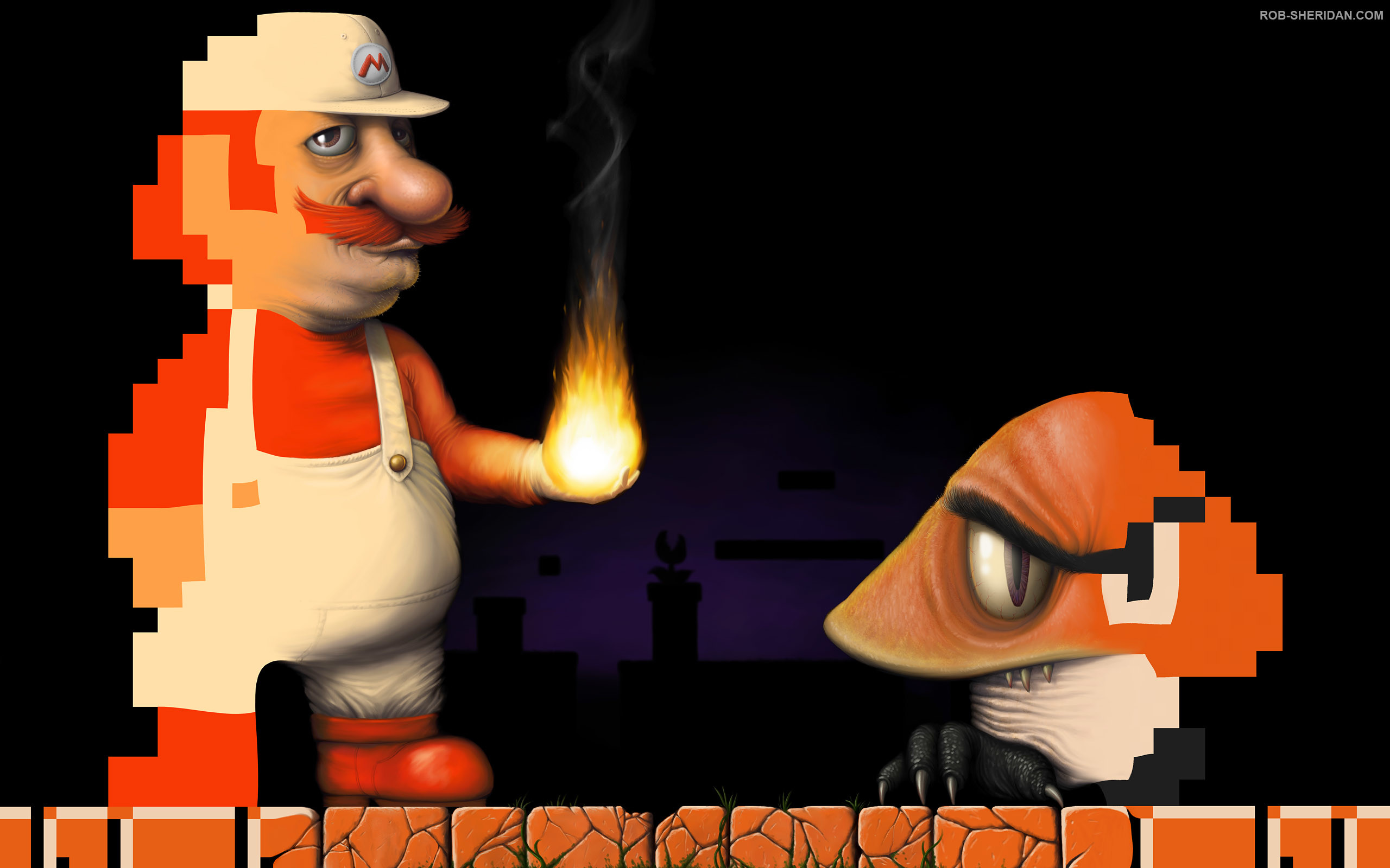 2560x1600 Real Super Mario wallpaper from Other wallpapers
