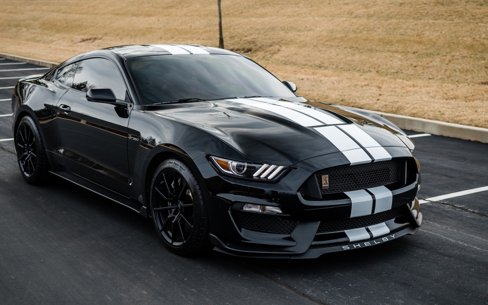 1920x1200 Ford Mustang, Shelby GT350, 2018, black sports car, supercar, luxury sports