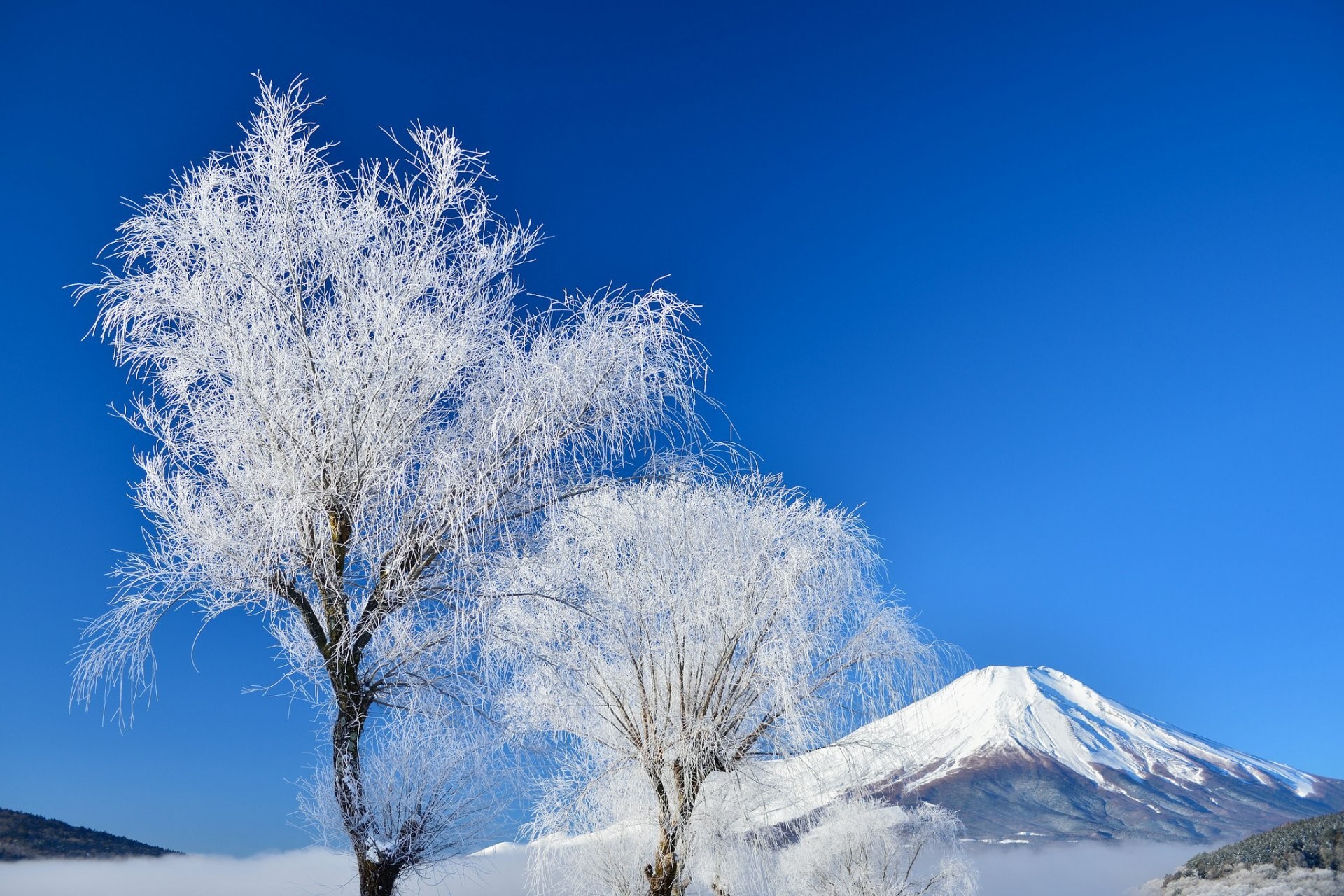 1920x1280 japan mount fuji sky winter tree snow