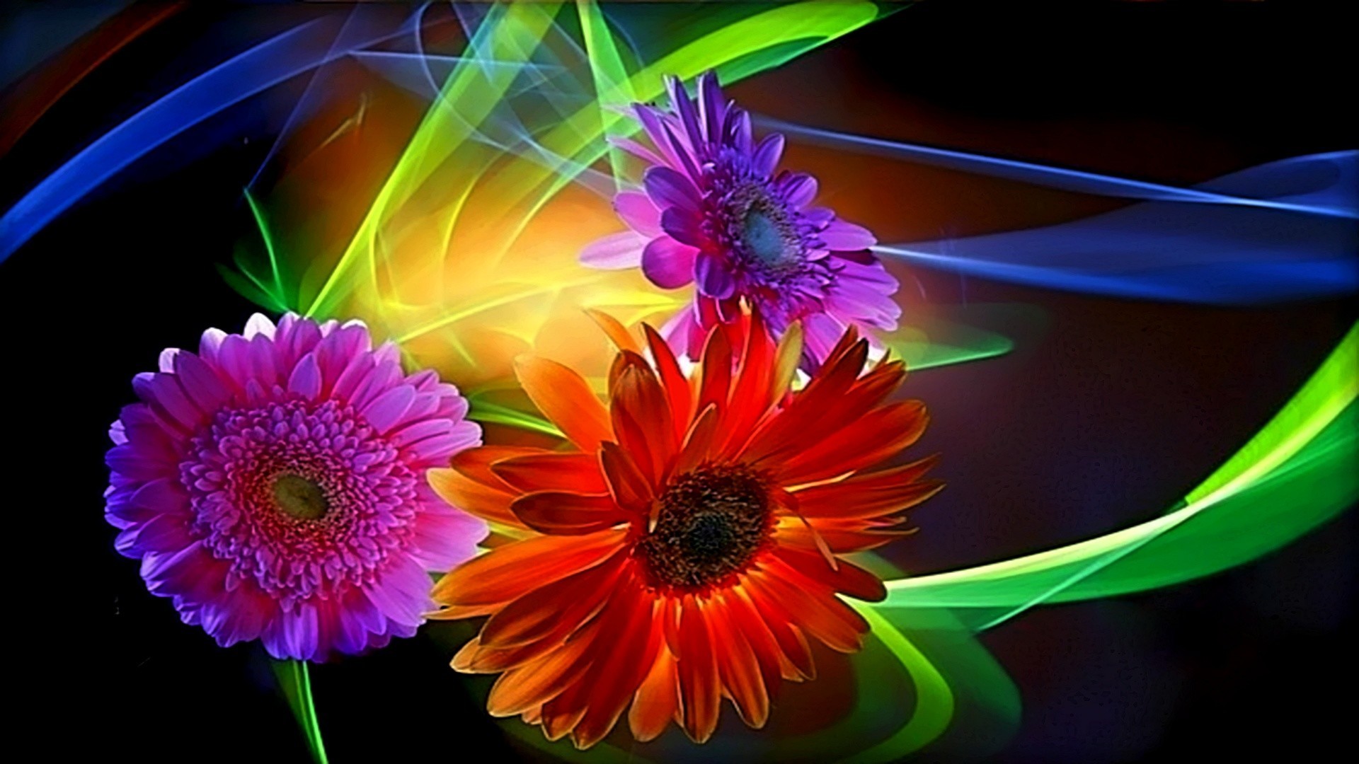 1920x1080  9. colorful-flower-wallpaper9-600x338