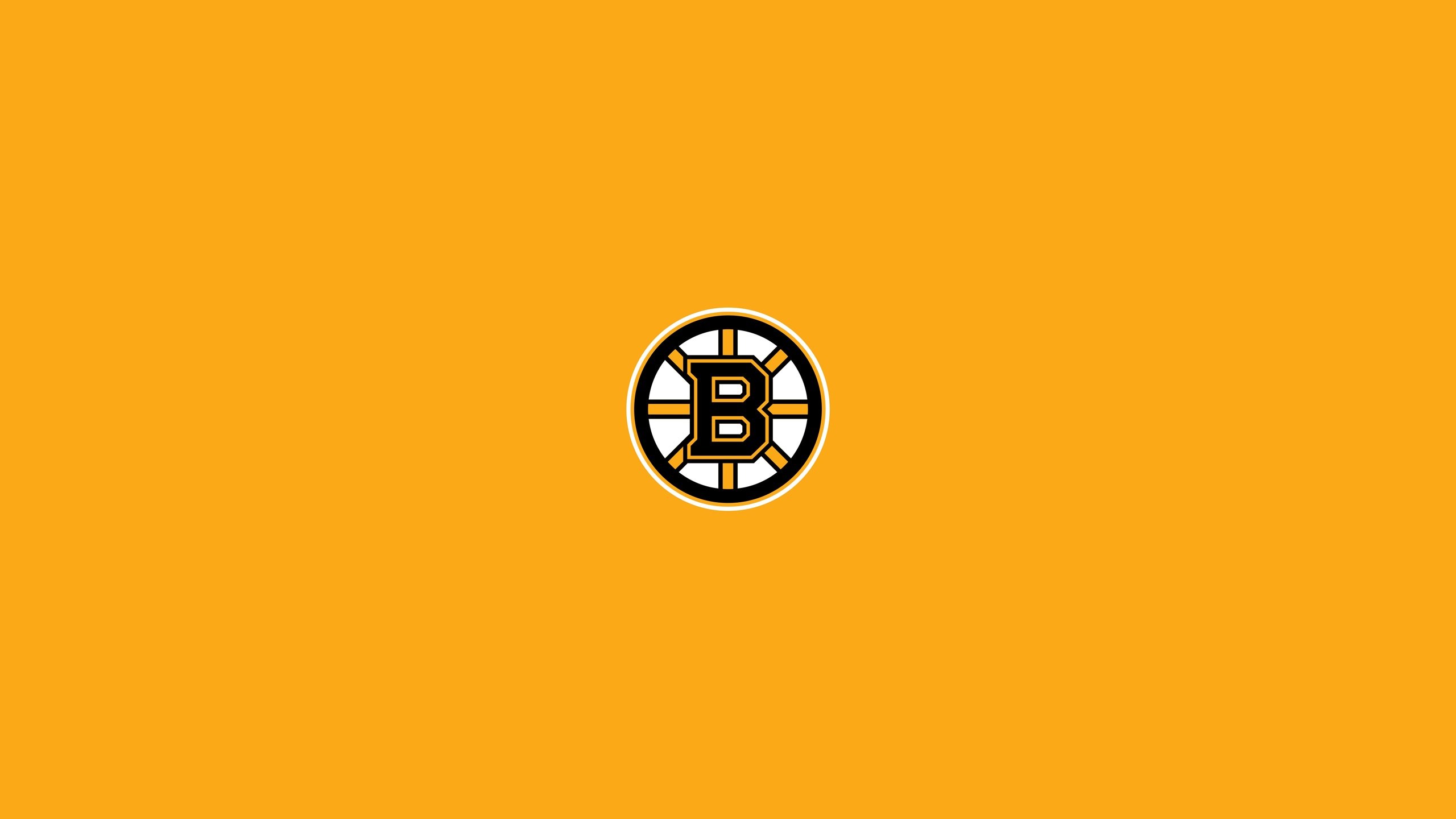 2560x1440 BOSTON BRUINS nhl hockey (3) wallpaper background