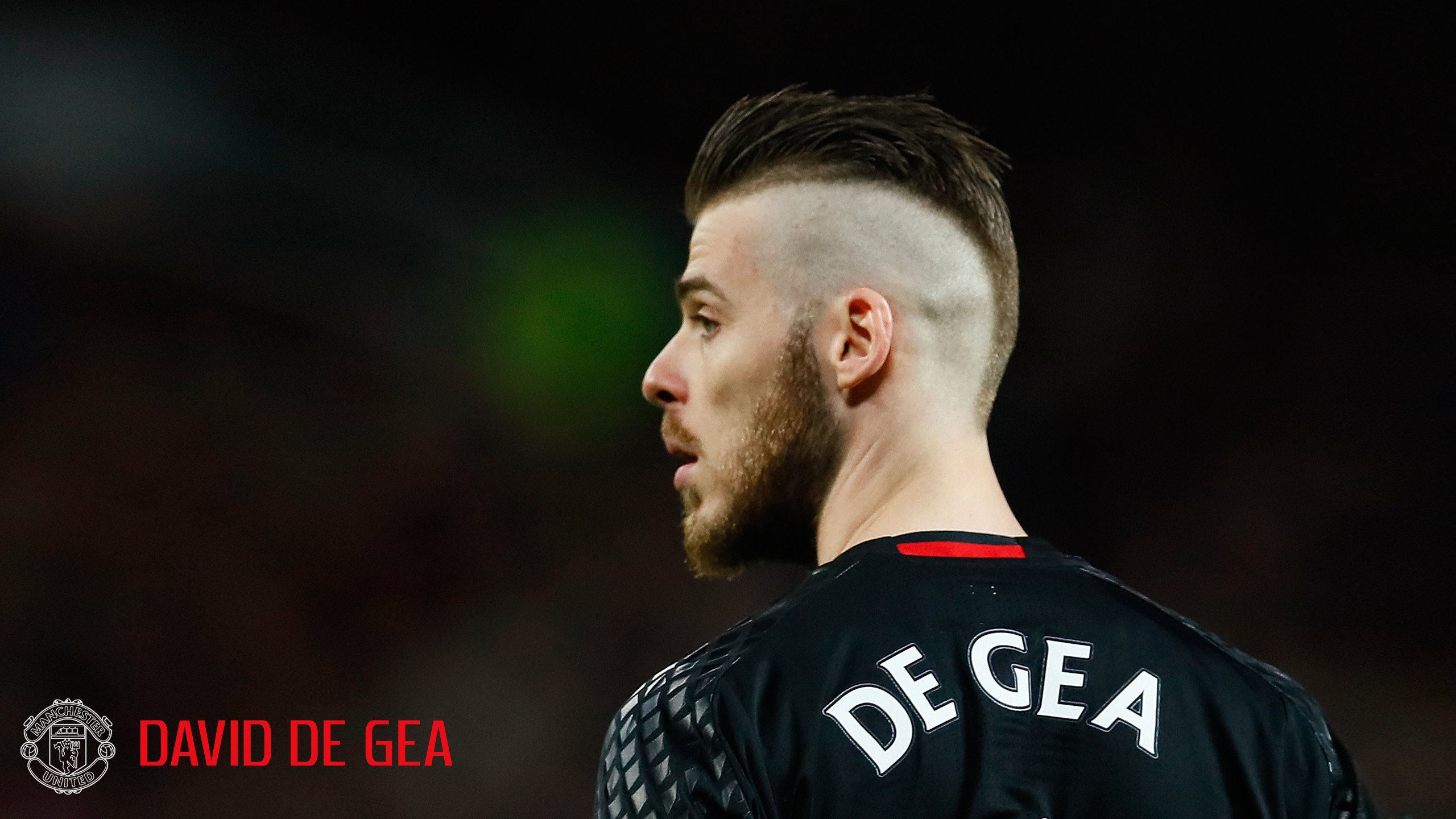 2560x1440 I love to share this picture of David de Gea Manchester United close up  photo. Manchester United has been magnificent this season since they won  several ...