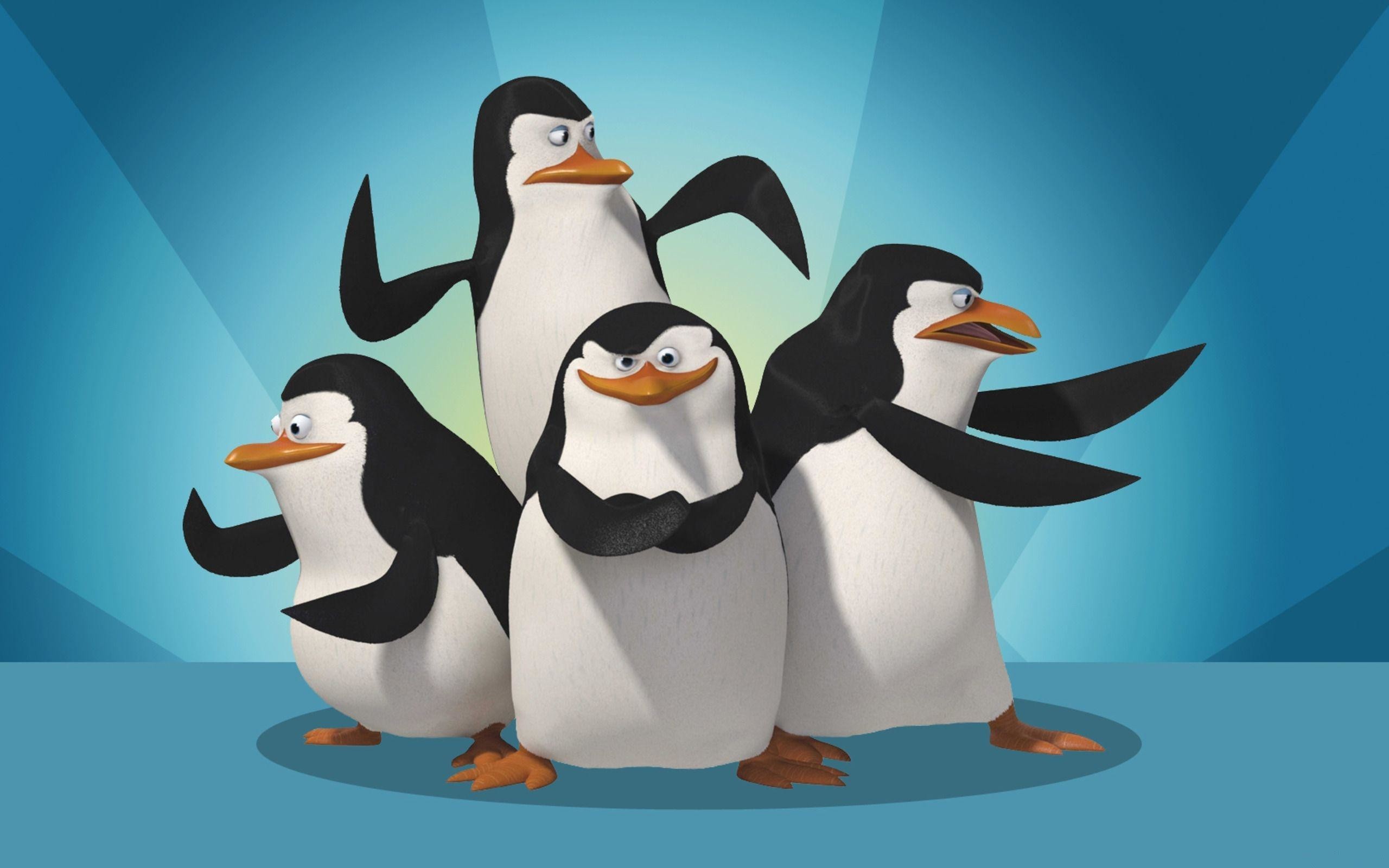 2560x1600 Penguins of Madagascar images Penguins of madagascar wallpaper HD wallpaper  and background photos
