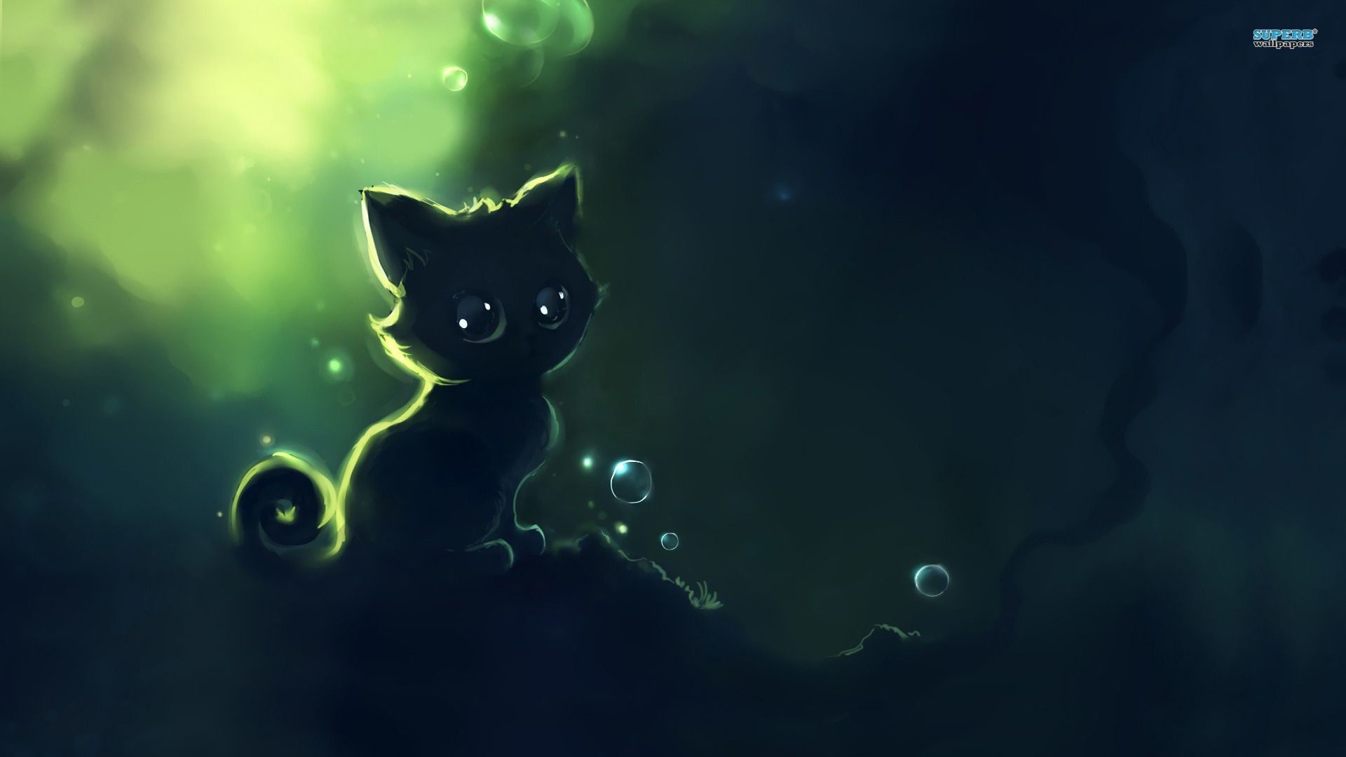 1920x1080 2048x1365 Space Cat Wallpapers High Quality For Desktop Wallpaper