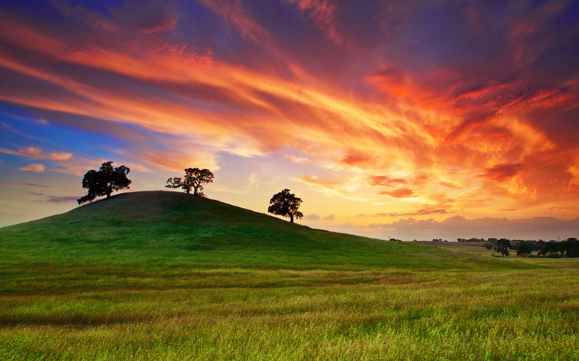 1920x1200 Usa California Sunset Spring - Image #2543 - Licence: Free for Personal Use  -
