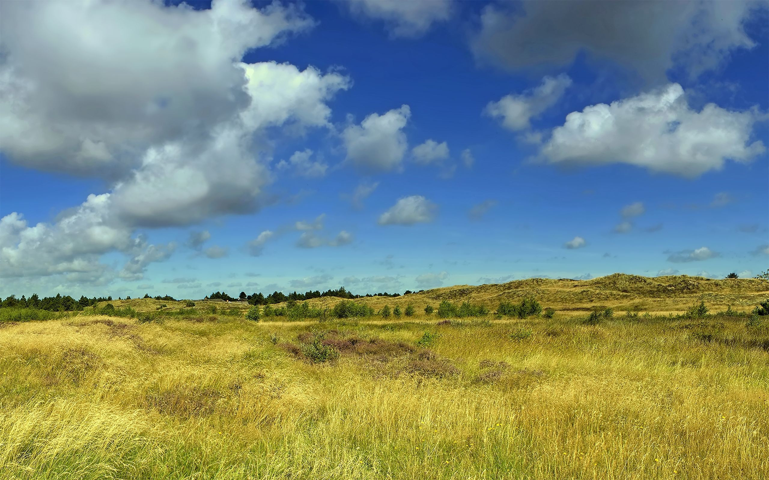 2560x1600 4k Relaxing field and fluffy clouds Wallpaper for desktop and mobile phones.
