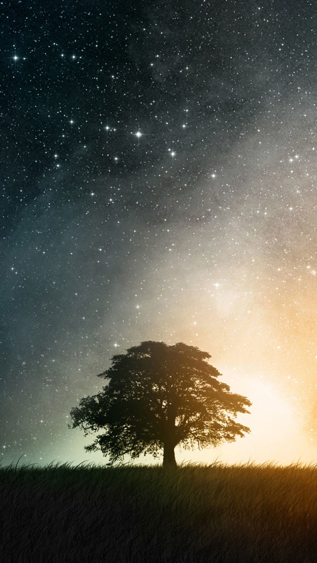 1080x1920 Night Hill Top Lonely Tree Vast Starry Skyscape iPhone 6 Wallpaper .