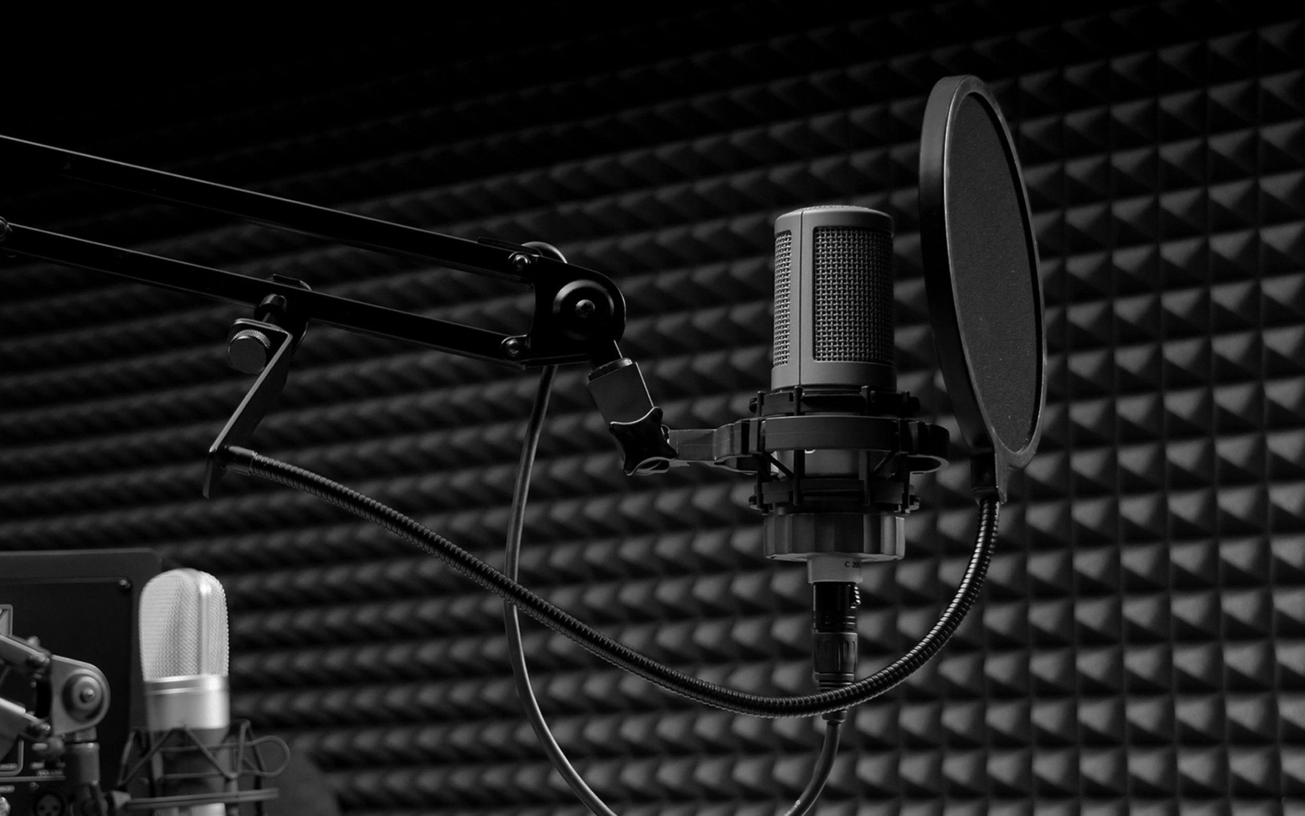 2560x1600 Microphone, sound recording studio, singing concept, bandstand