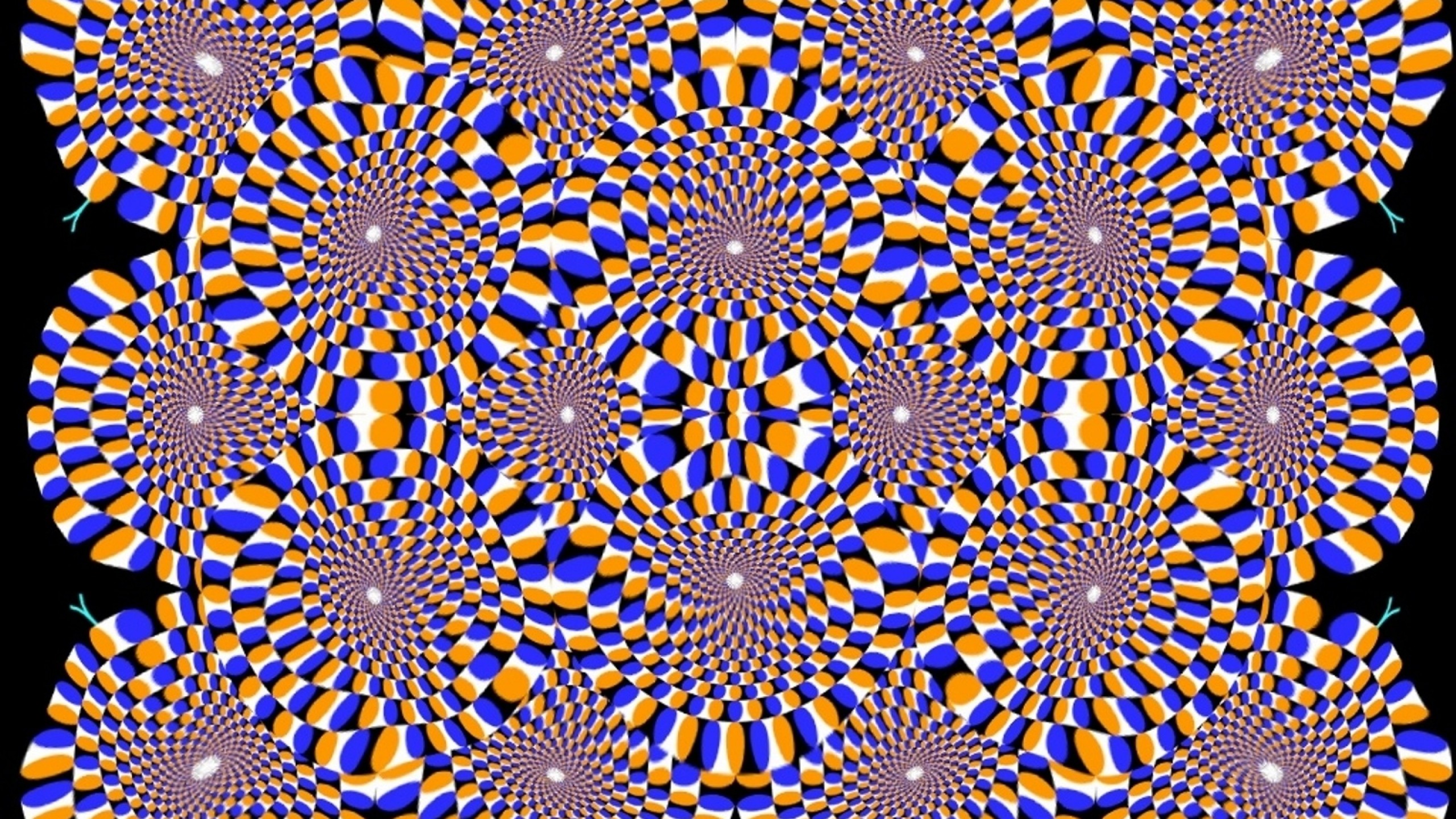 2560x1440 Preview wallpaper optical illusion, rotation, dipping, circles 