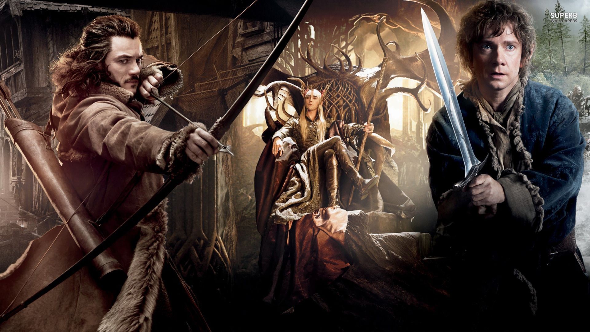 1920x1080 The Hobbit: The Desolation of Smaug wallpaper - Movie wallpapers .