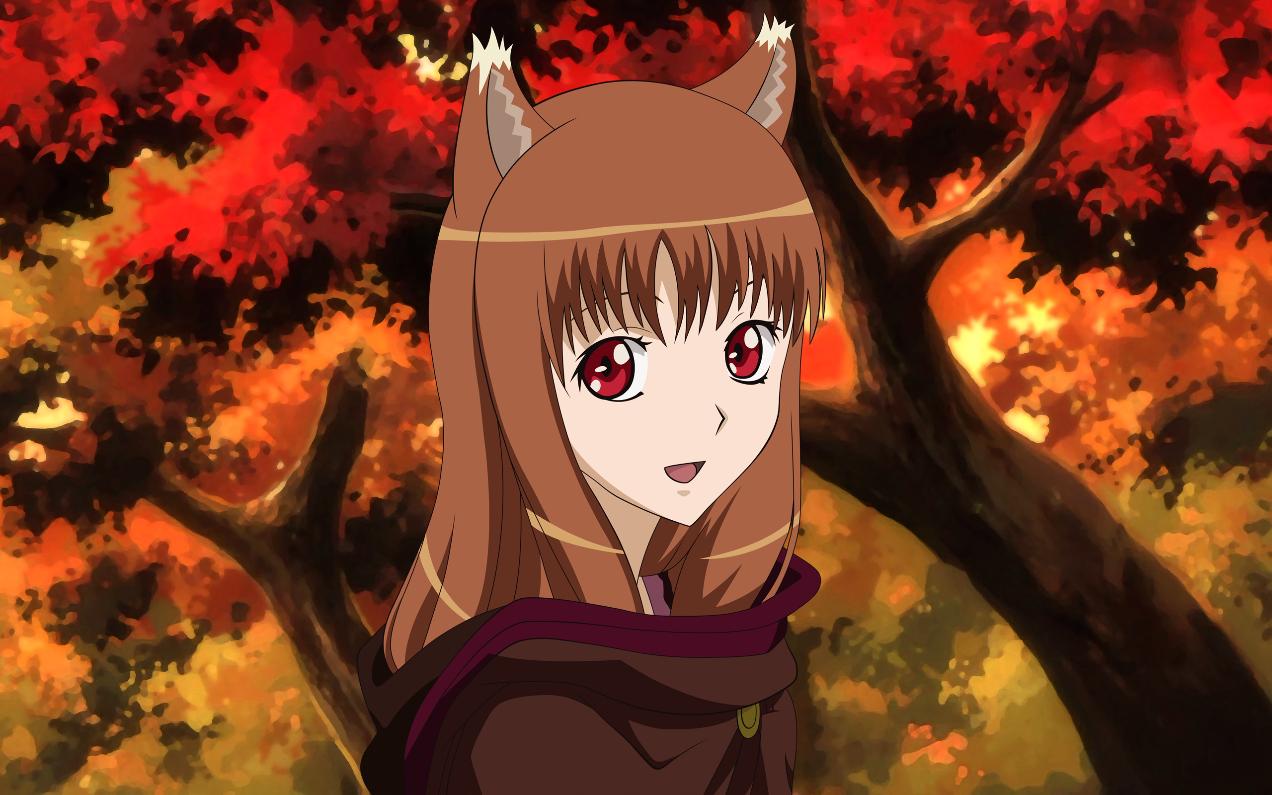 2560x1600 Spice And Wolf